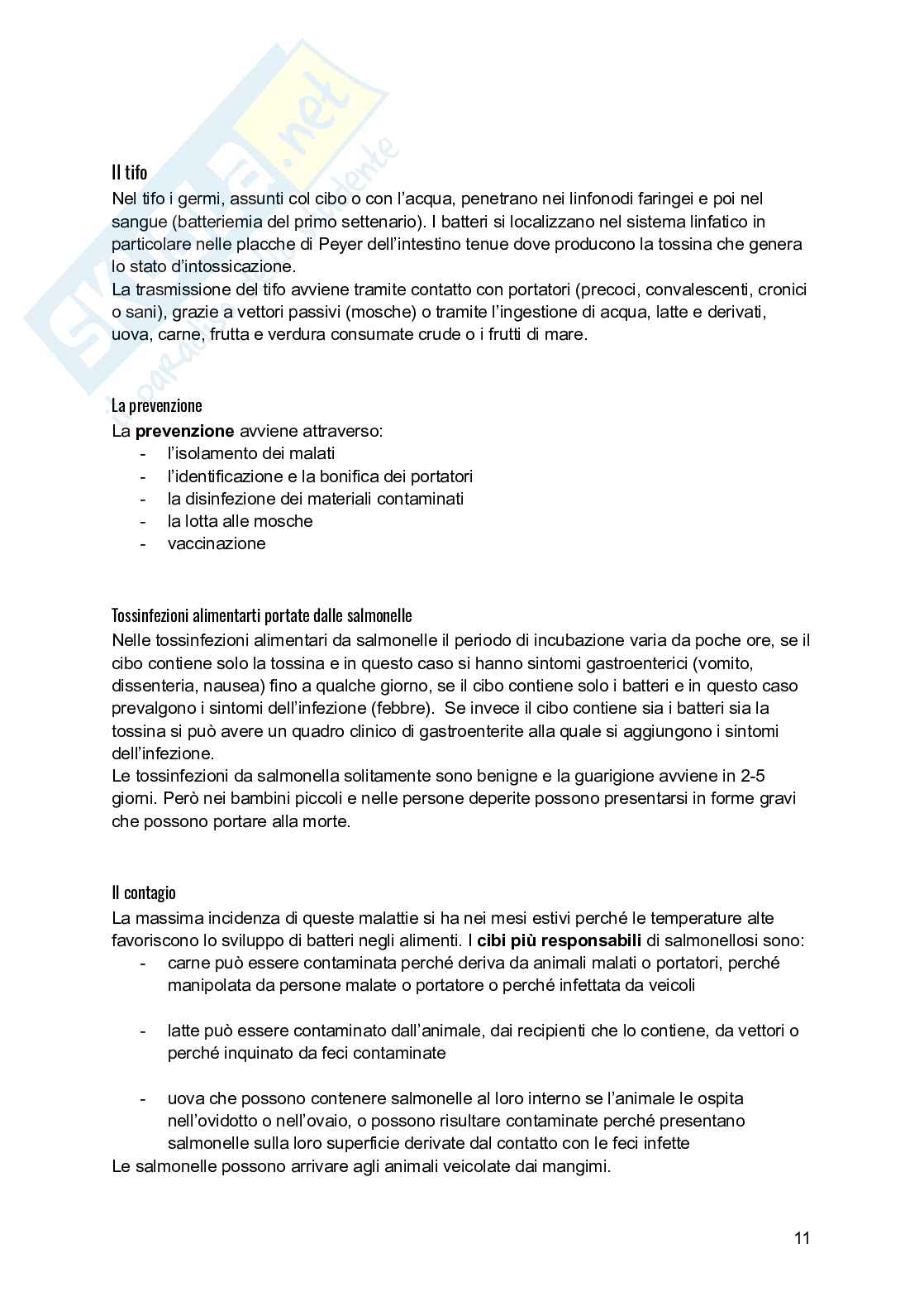 Malattie orofecali Pag. 11
