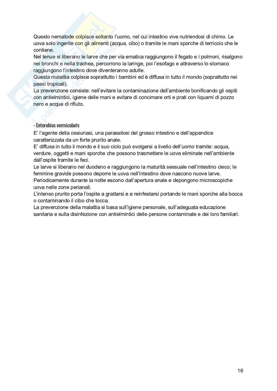 Malattie orofecali Pag. 16