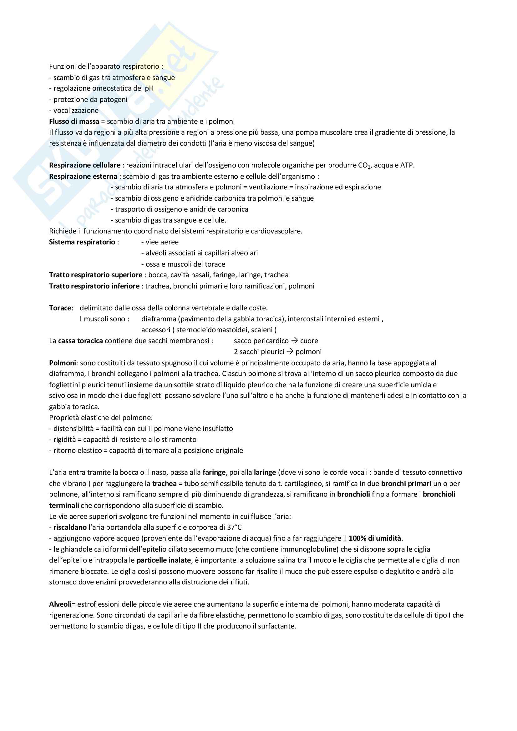Fisiologia - apparato respiratorio Pag. 1