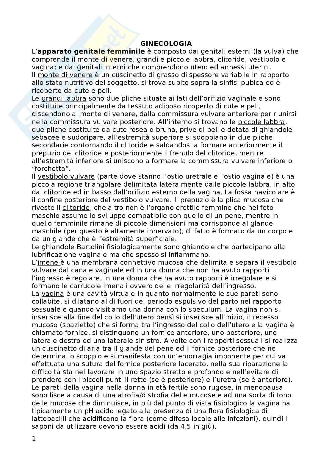 Ginecologia  Pag. 1