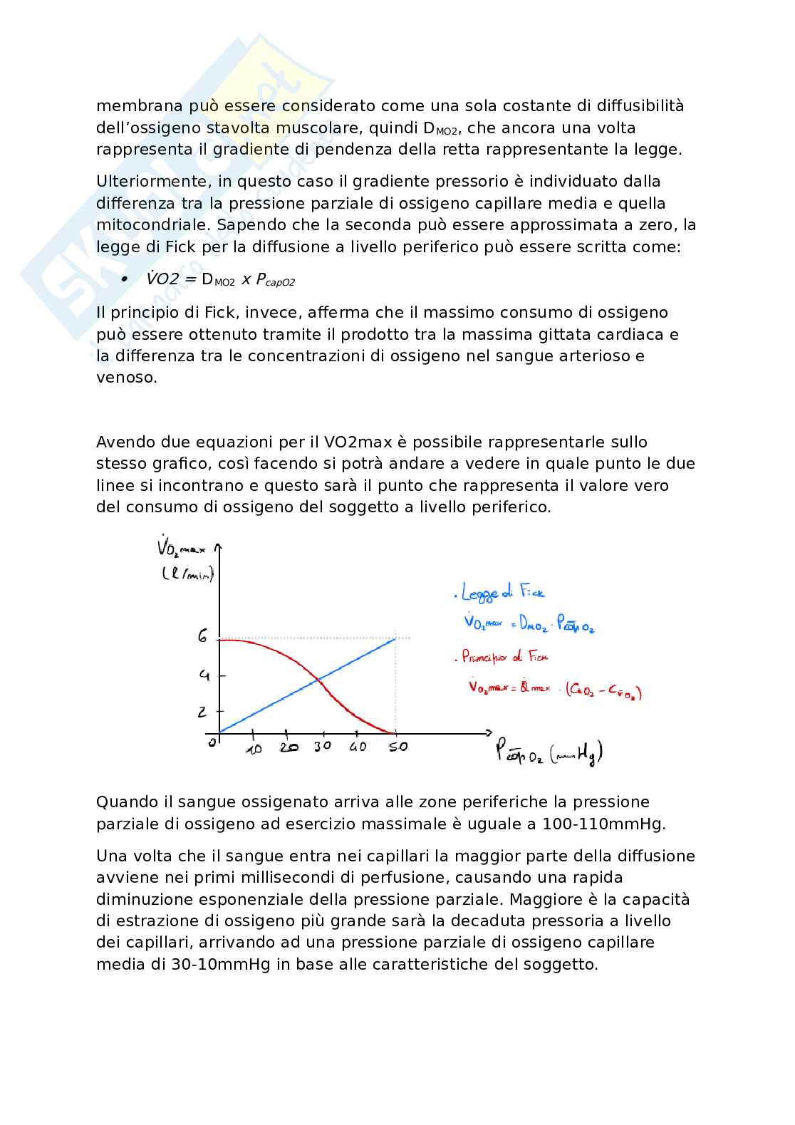 Funzionalità  fisiologica, metabolica e biomolecolare dell'esercizio fisico - Modulo prof.Esposito Pag. 16