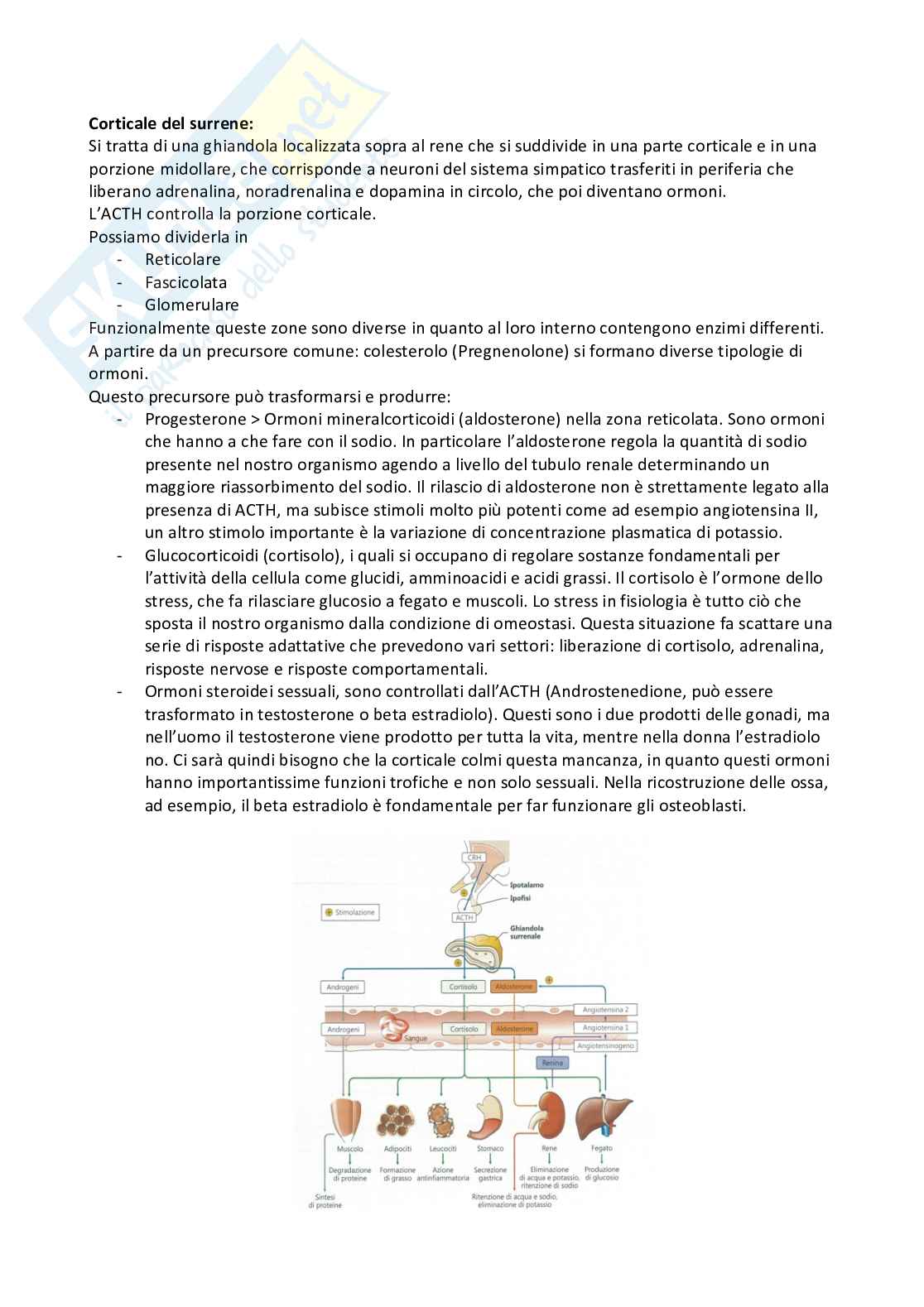 Fisiologia generale Pag. 11