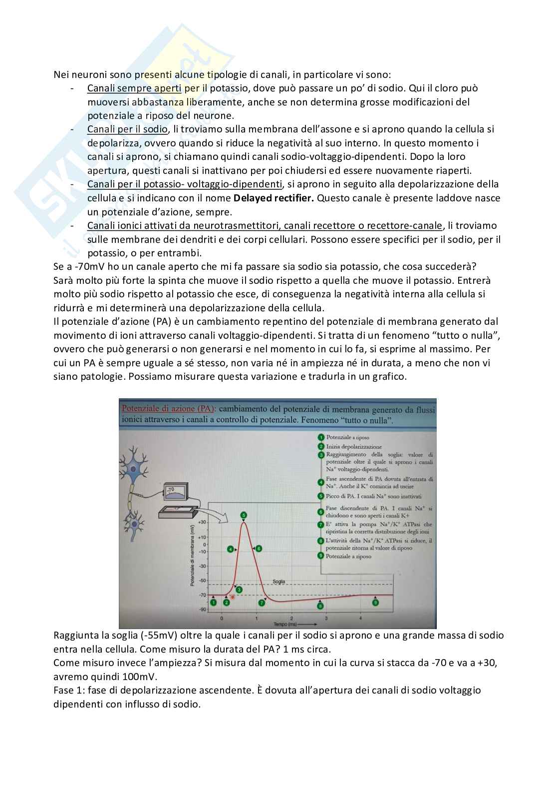 Fisiologia generale Pag. 21