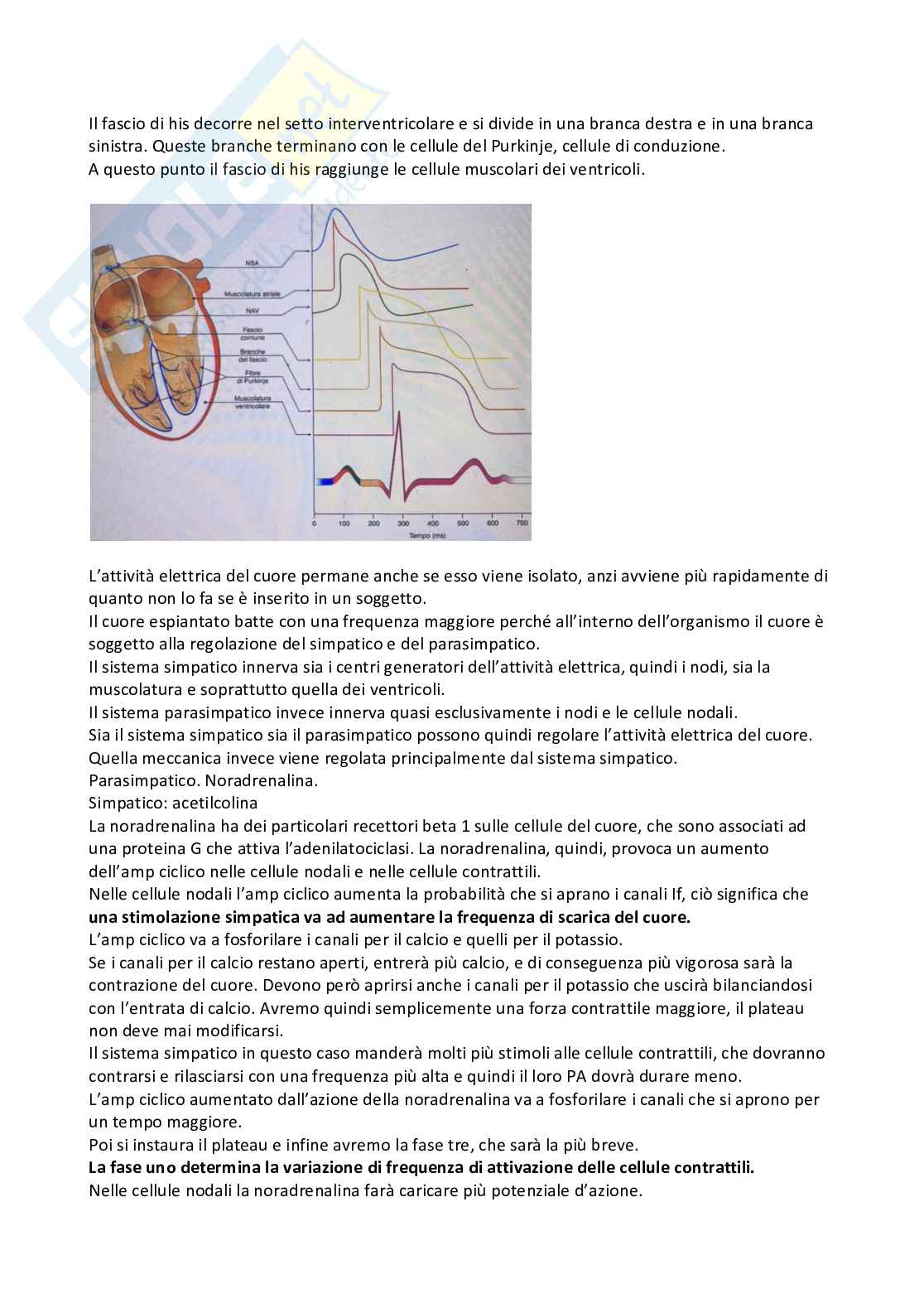 Fisiologia generale Pag. 46