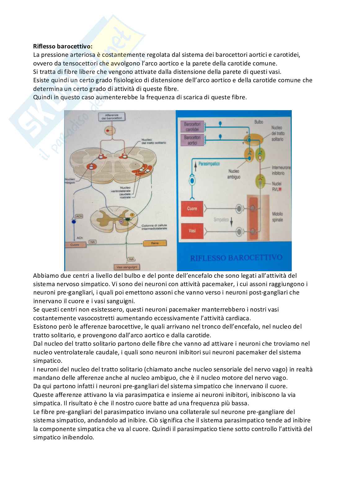 Fisiologia generale Pag. 56