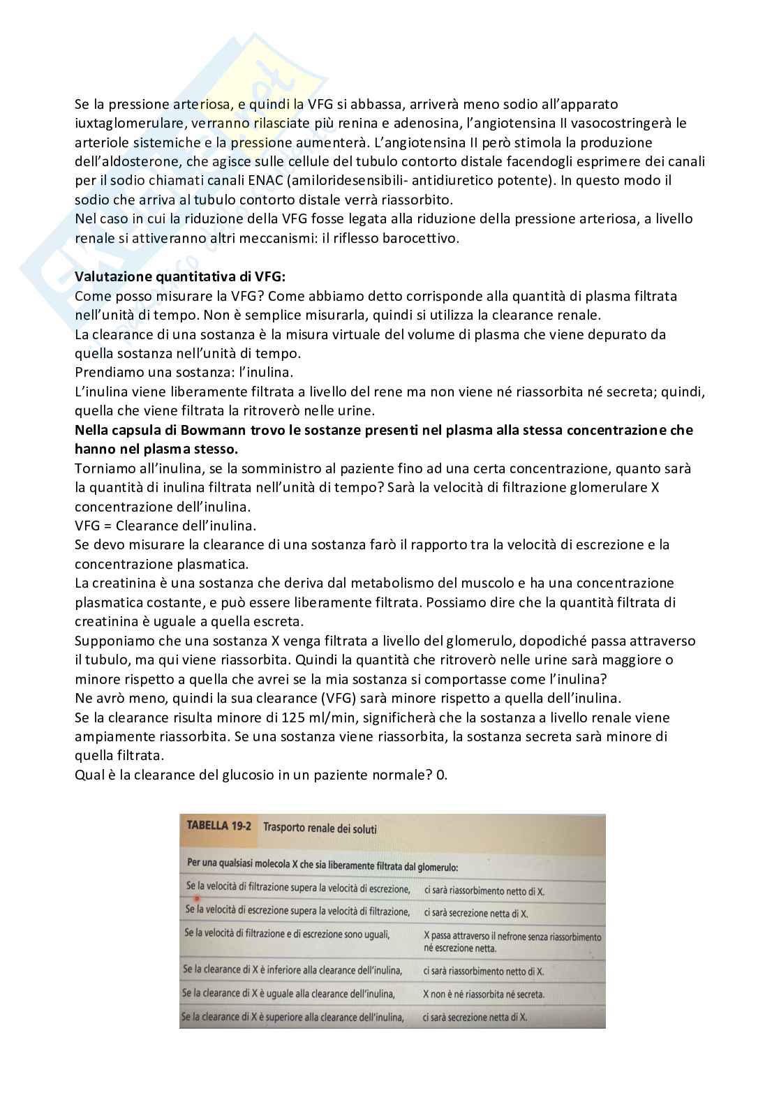 Fisiologia generale Pag. 61