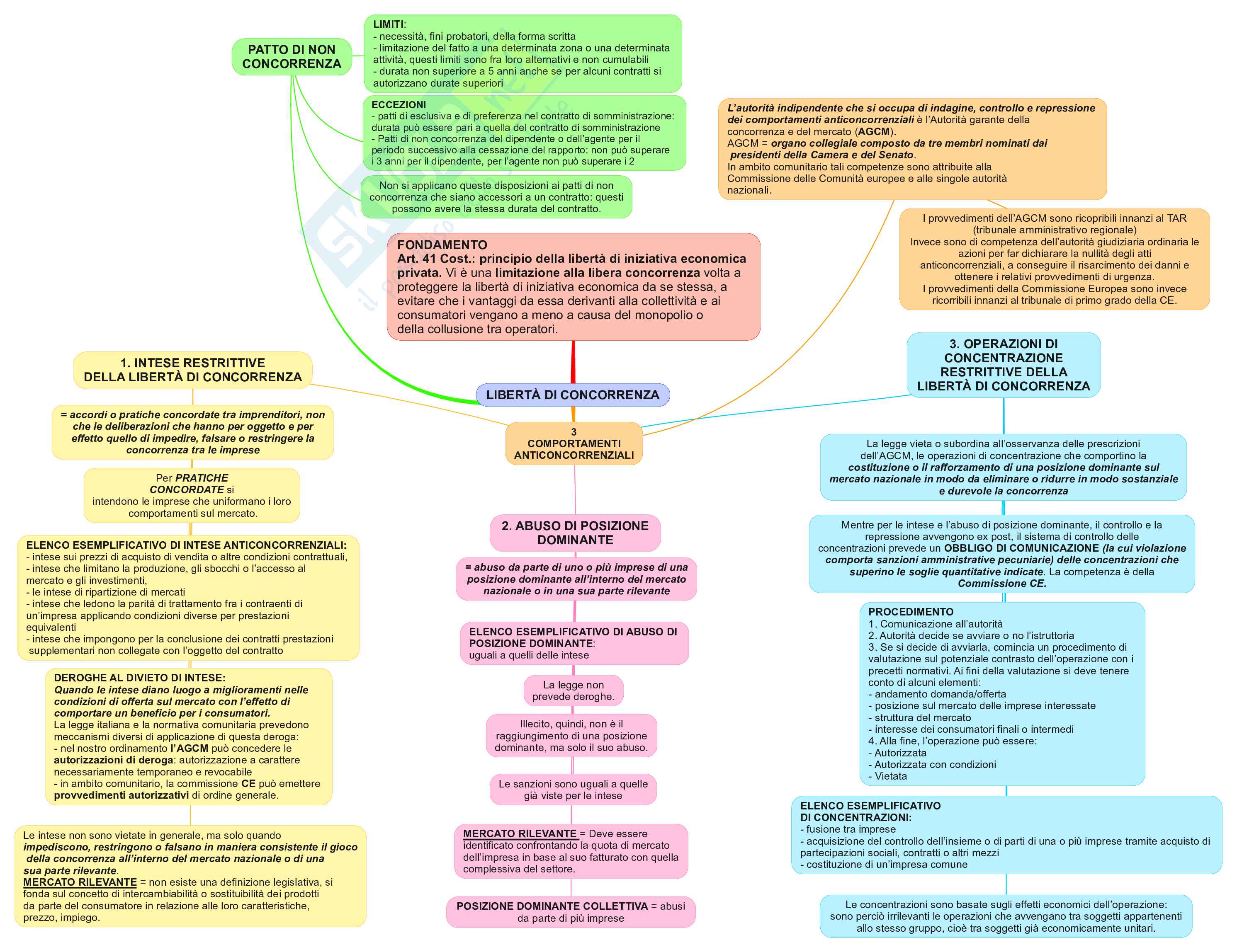 Mappe concettuali Diritto commerciale 1 Pag. 11
