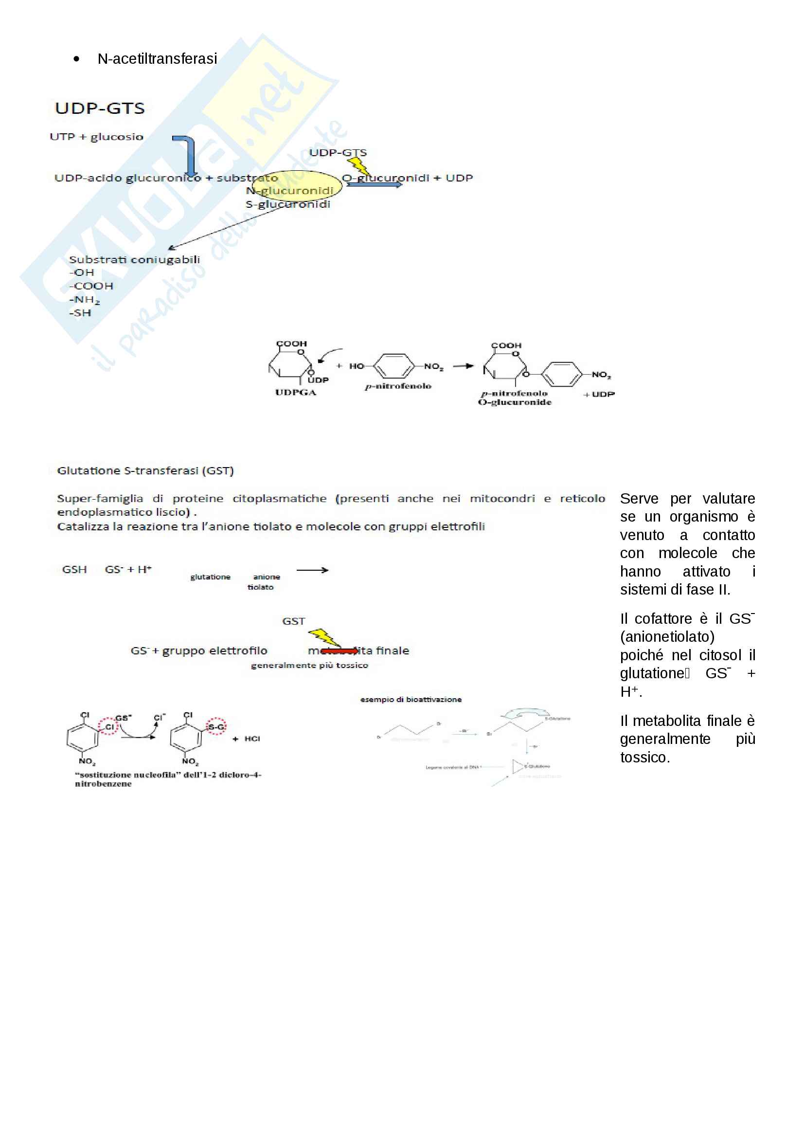 Ecotossicologia Pag. 56