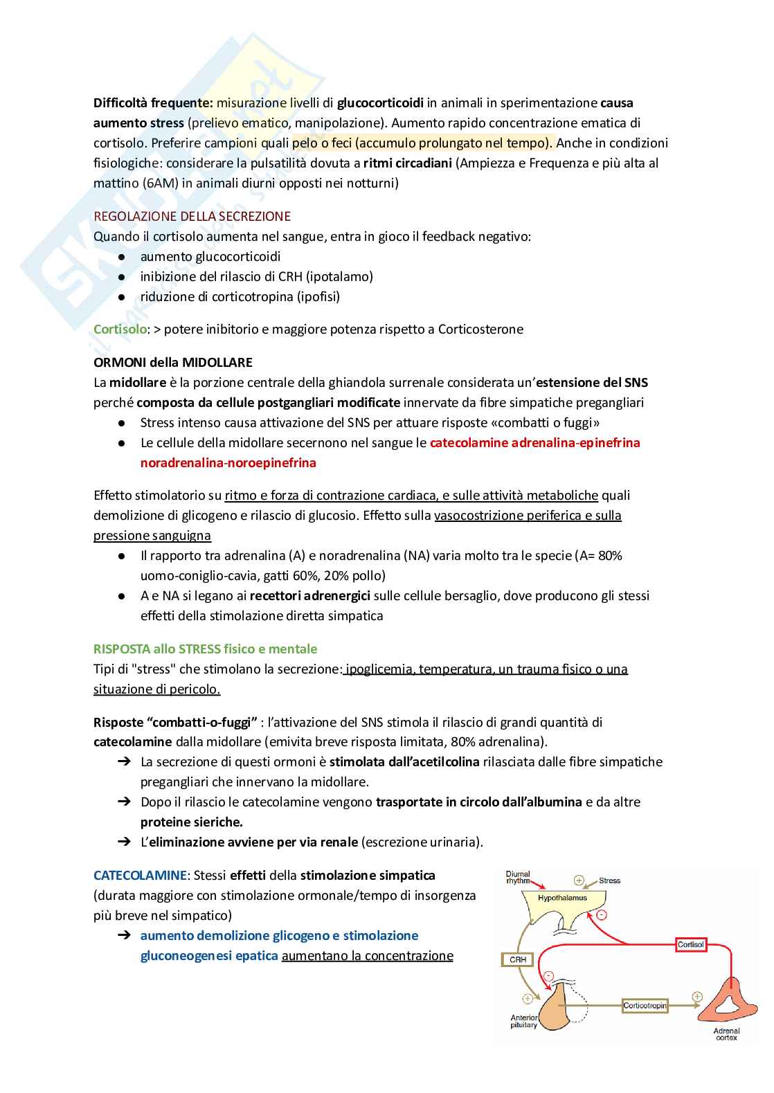 Fisiologia animale  Pag. 11