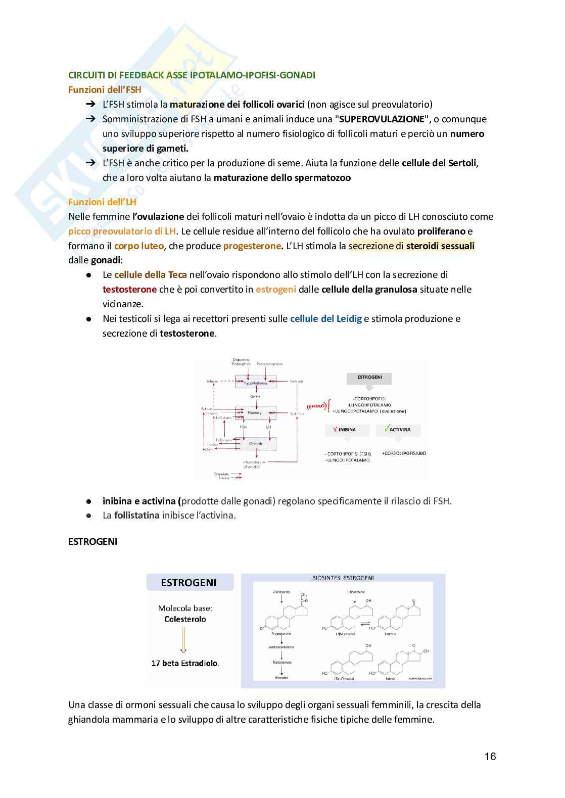 Fisiologia animale  Pag. 16