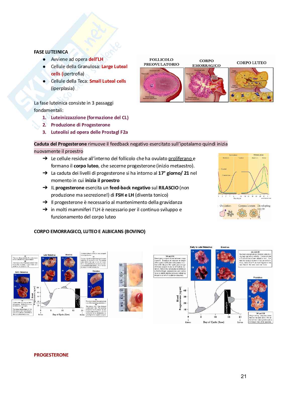 Fisiologia animale  Pag. 21