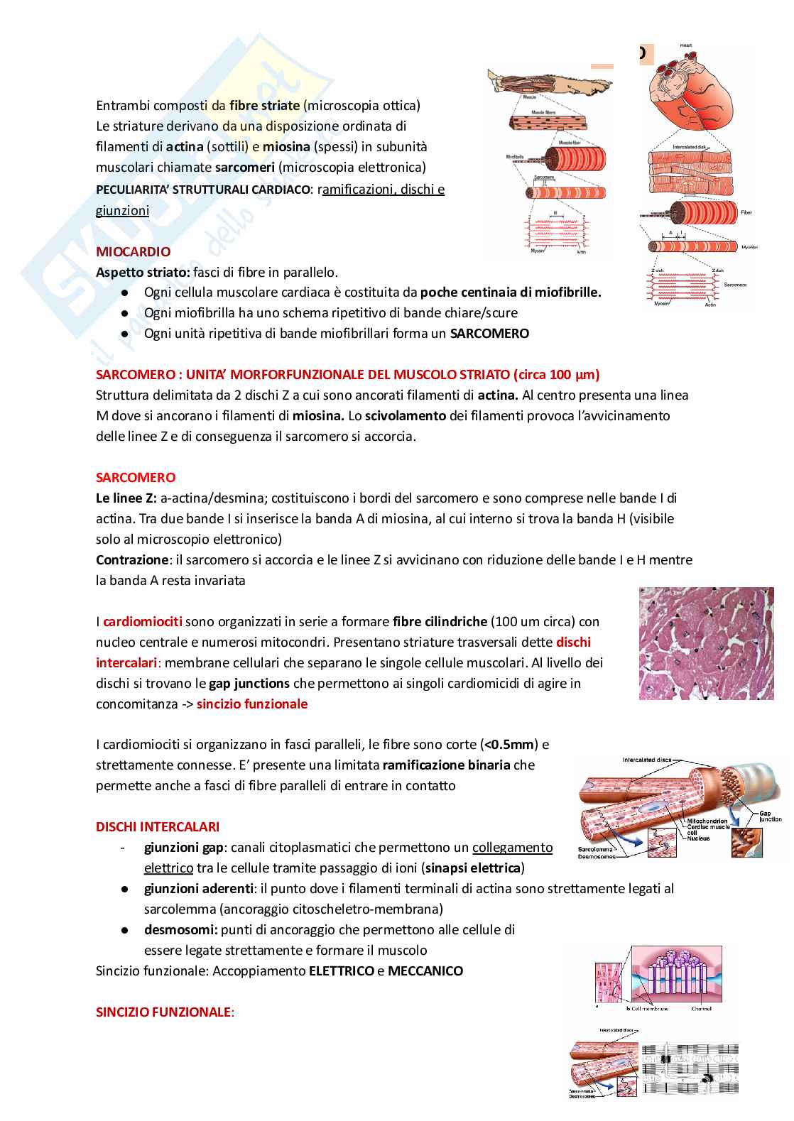 Fisiologia animale  Pag. 26