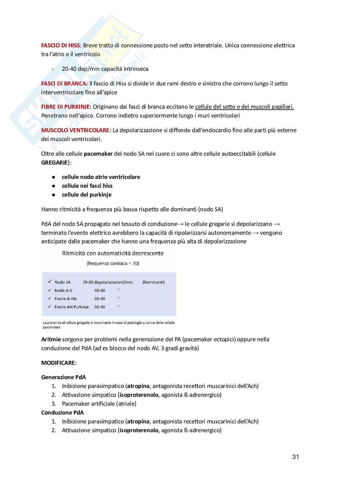 Fisiologia animale  Pag. 31