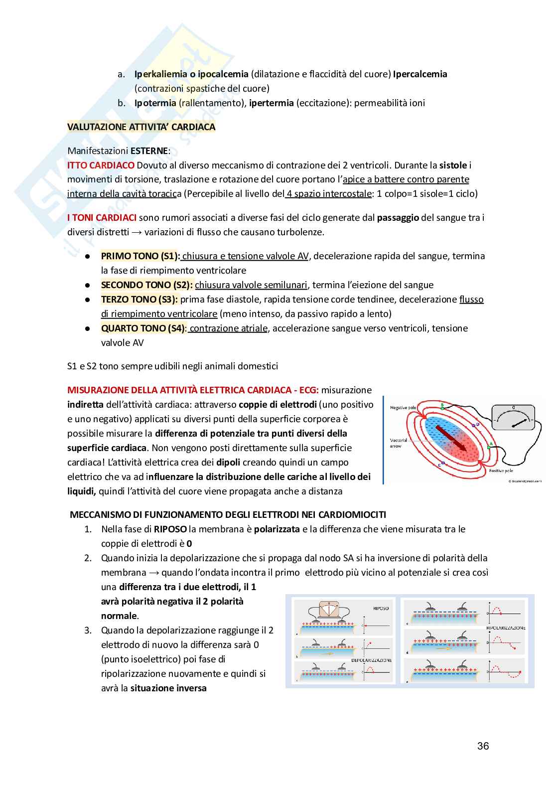 Fisiologia animale  Pag. 36