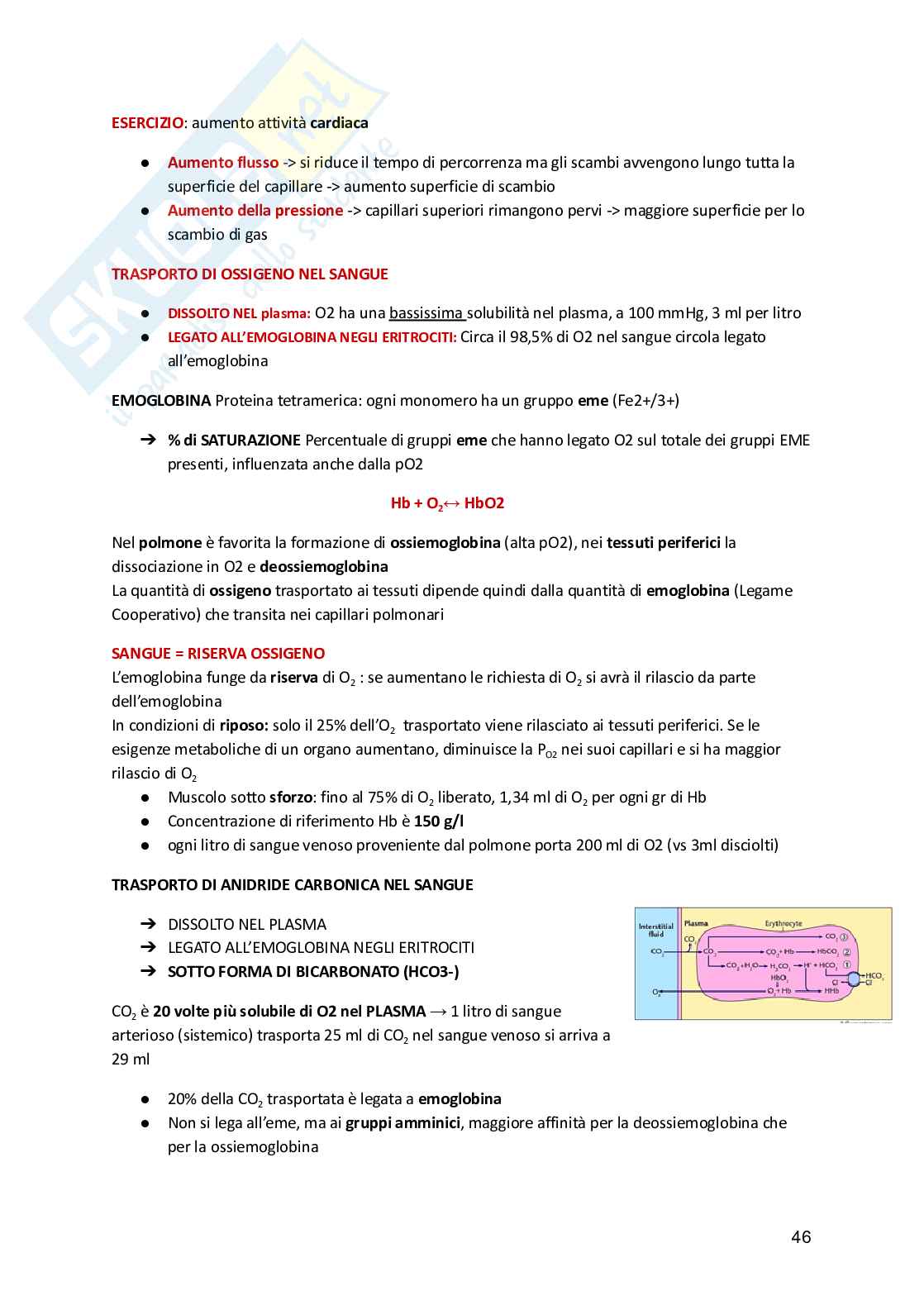 Fisiologia animale  Pag. 46