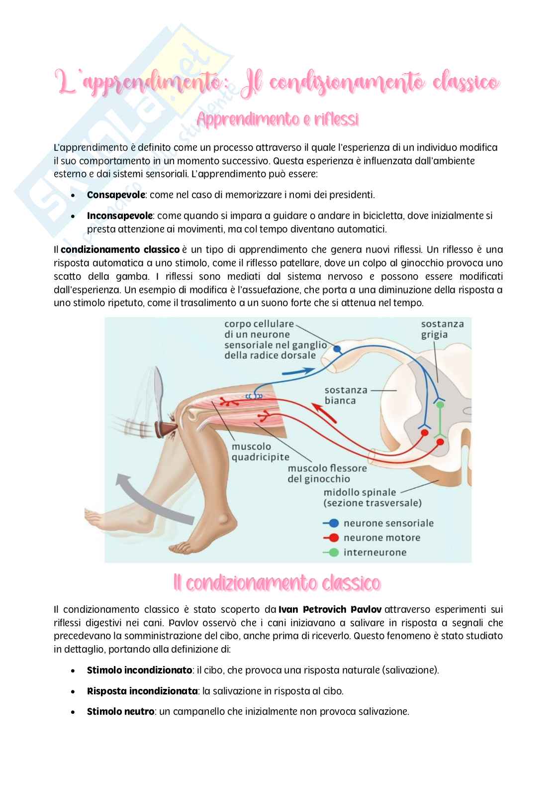 Psicologia dei processi - parte II Pag. 1
