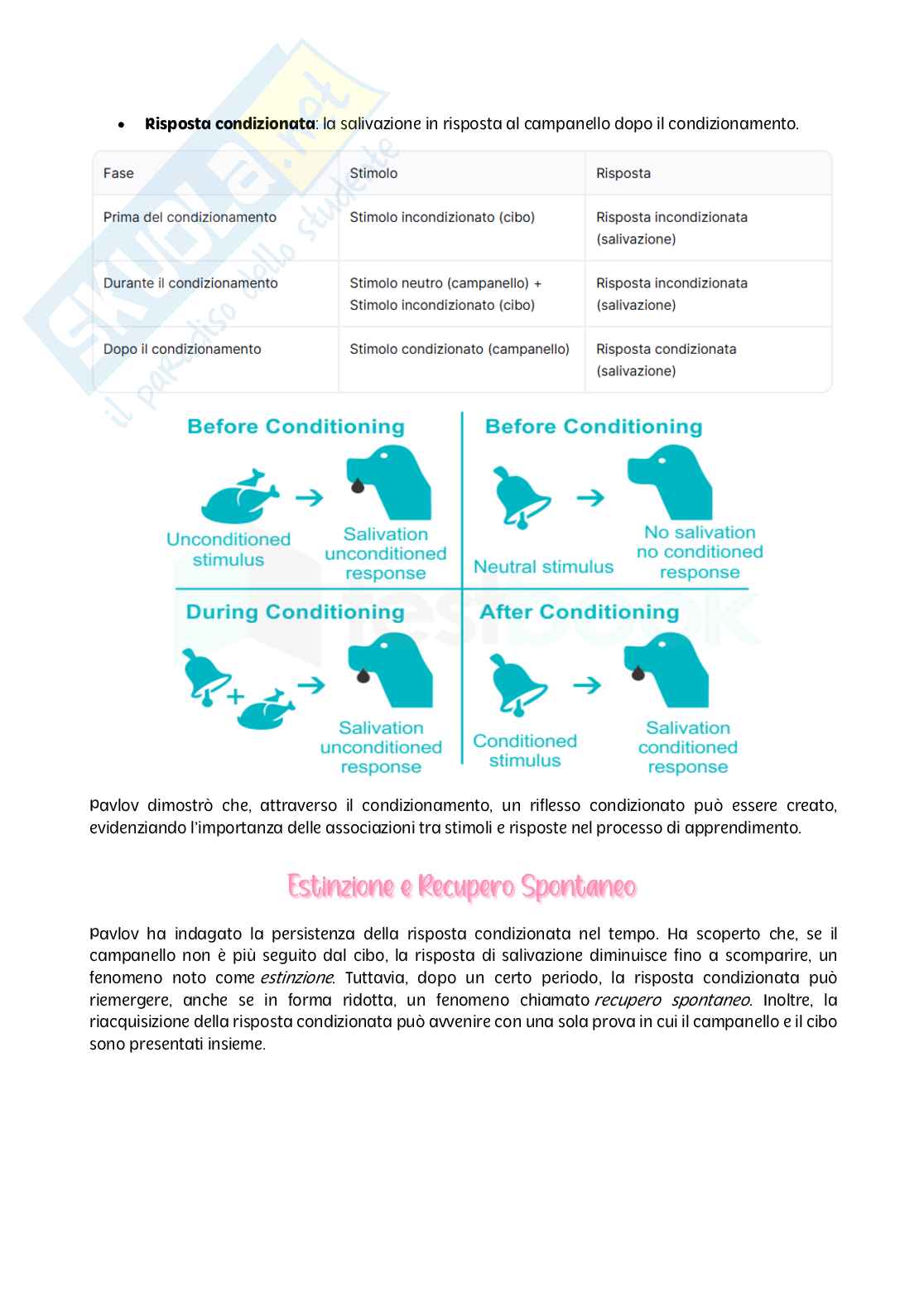 Psicologia dei processi - parte II Pag. 2