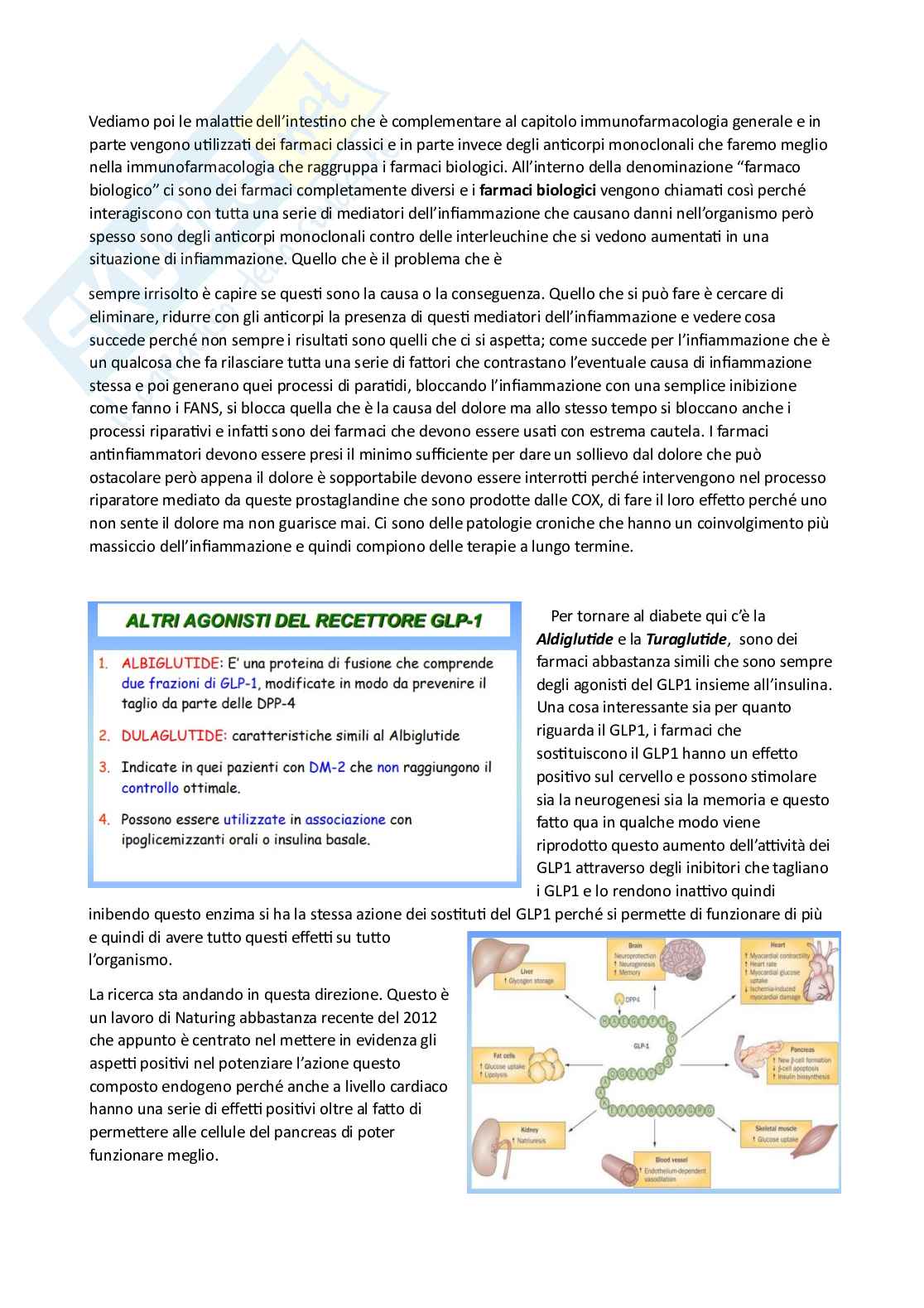 Farmacoterapia 2 - Parte 4 di 4 sul diabete Pag. 2