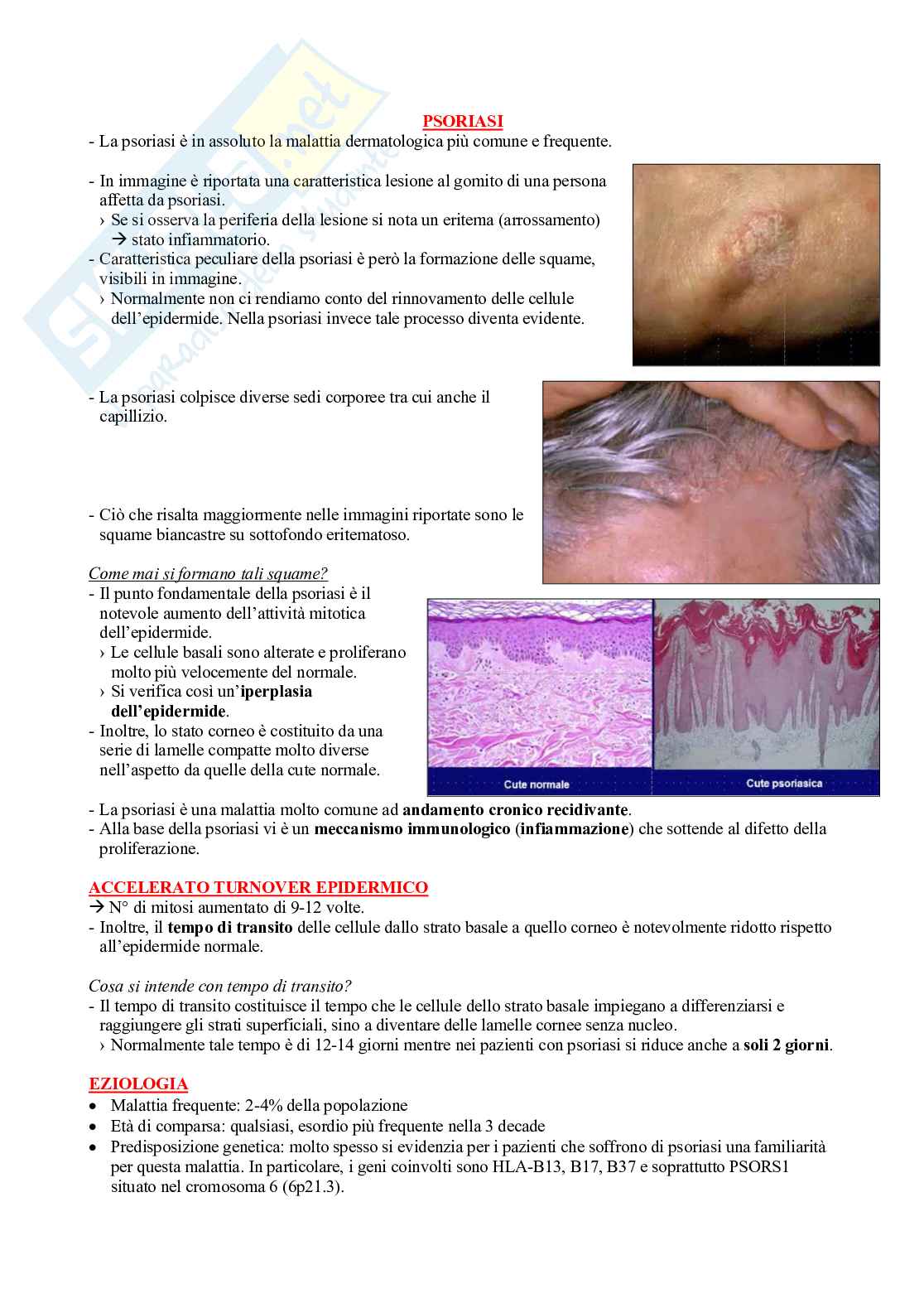 Fisioterapia e professioni sanitarie - Appunti di dermatologia Pag. 11