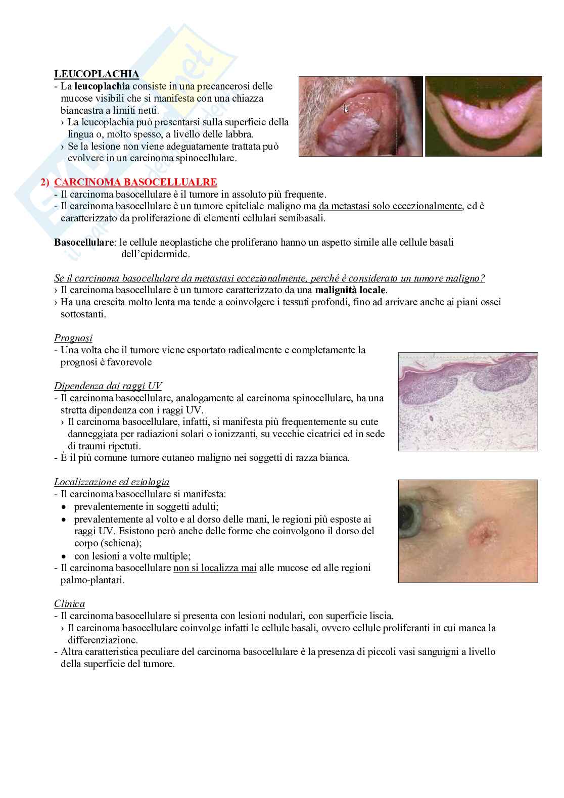 Fisioterapia e professioni sanitarie - Appunti di dermatologia Pag. 21