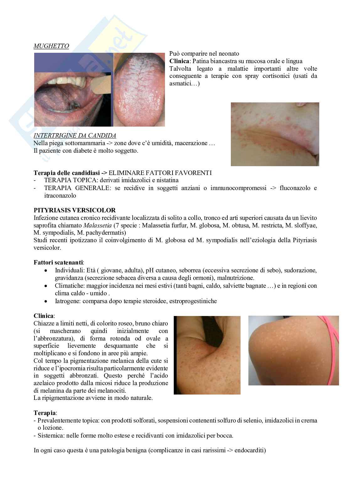 Fisioterapia e professioni sanitarie - Appunti di dermatologia Pag. 6