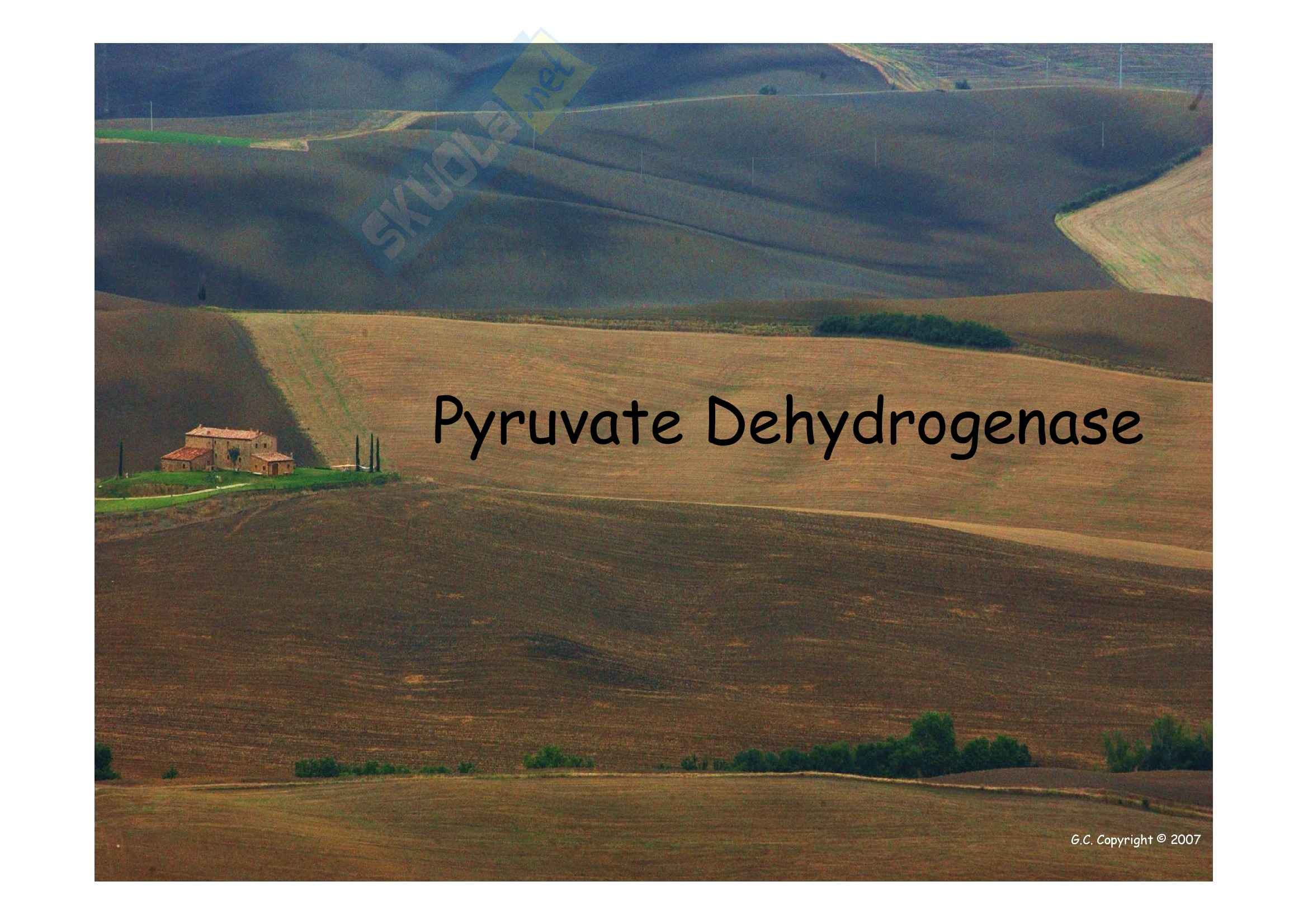 Patologia e fisiopatologia generale - Pyruvate Dehydrogenase Pag. 1
