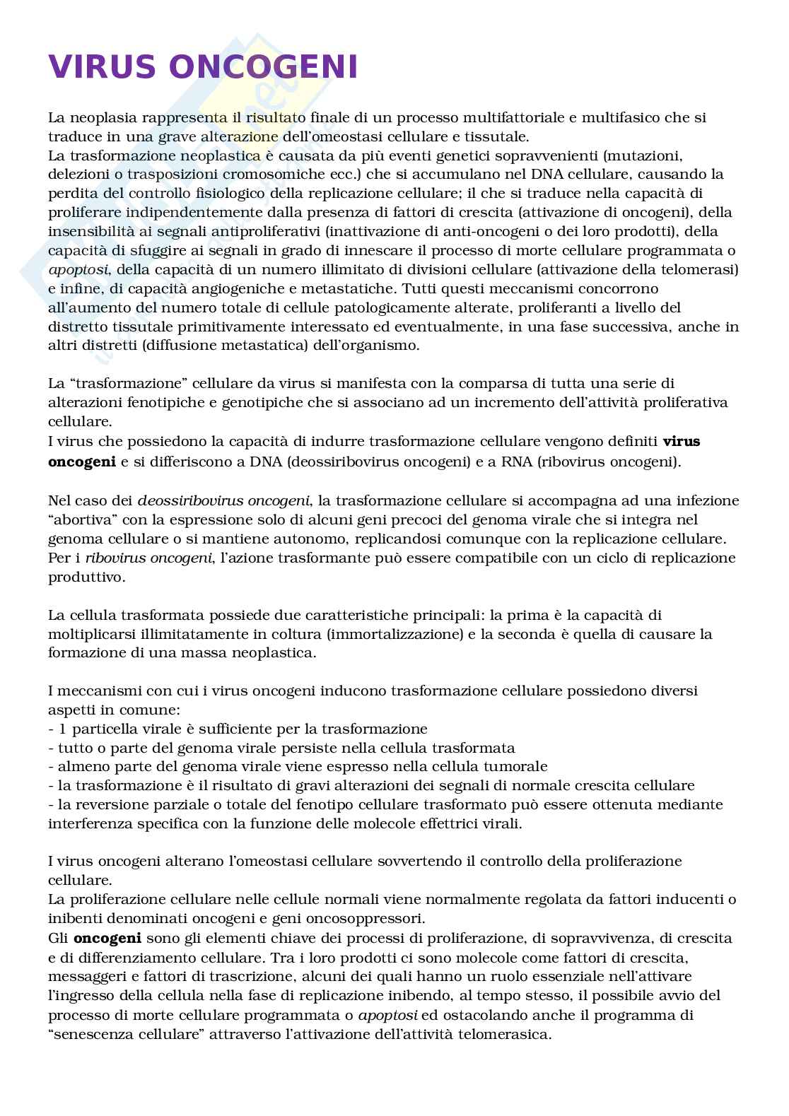 Virus oncogeni Pag. 1