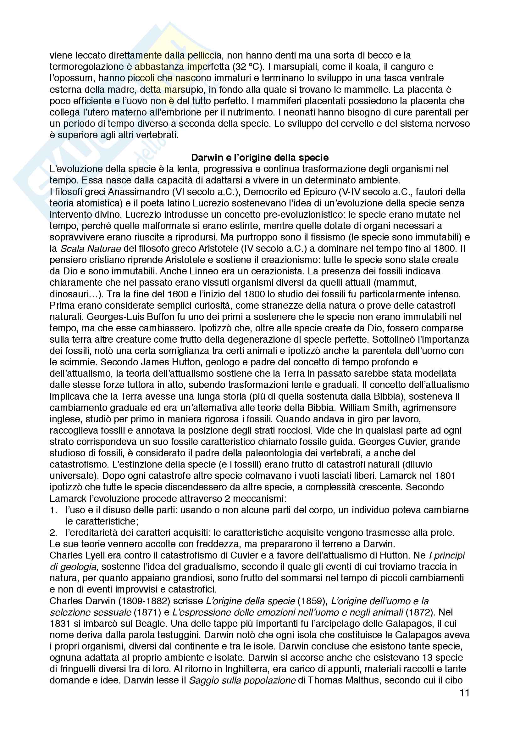 Appunti di biologia animale ed etologia, Elena Tricarico Pag. 11