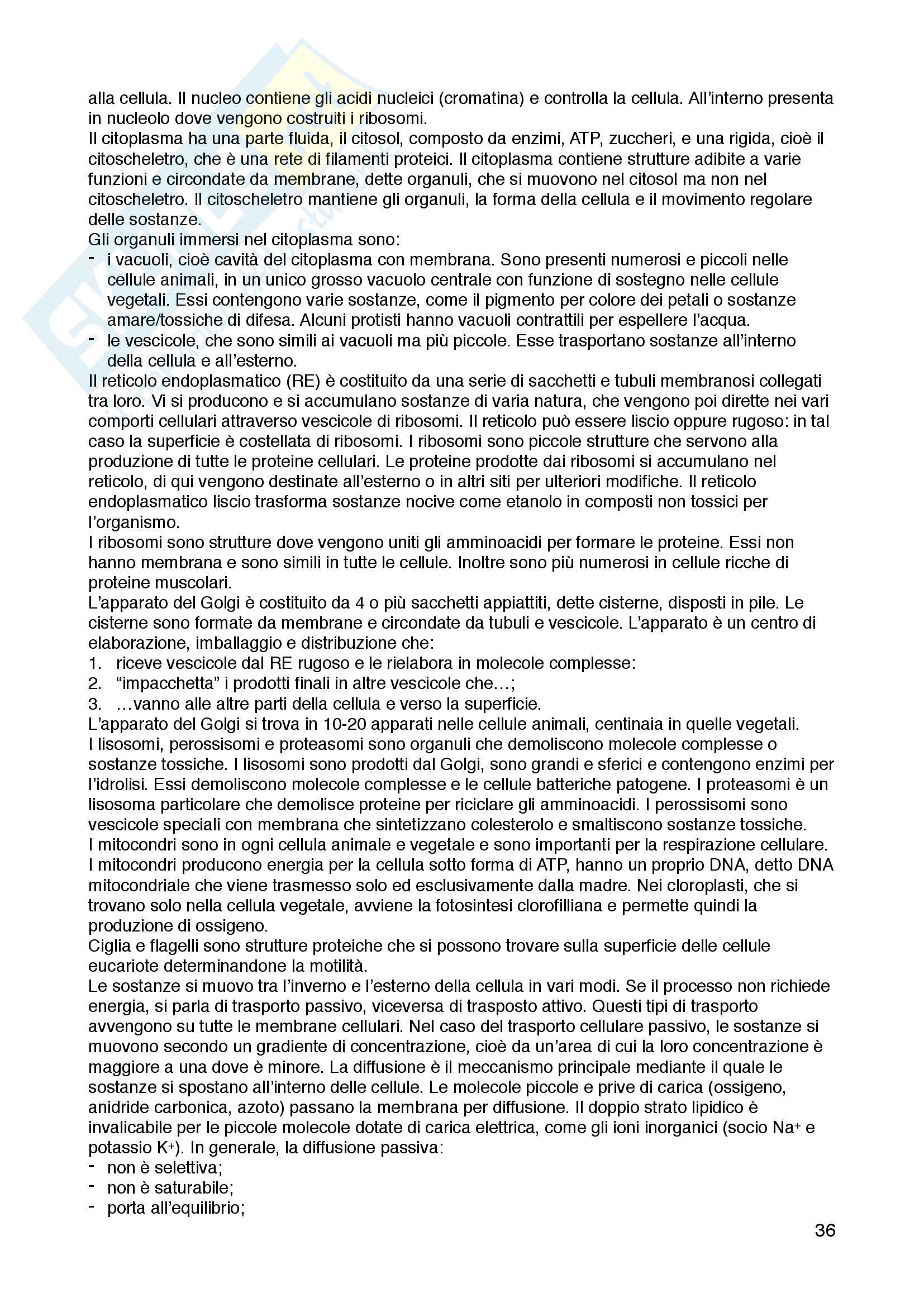 Appunti di biologia animale ed etologia, Elena Tricarico Pag. 36