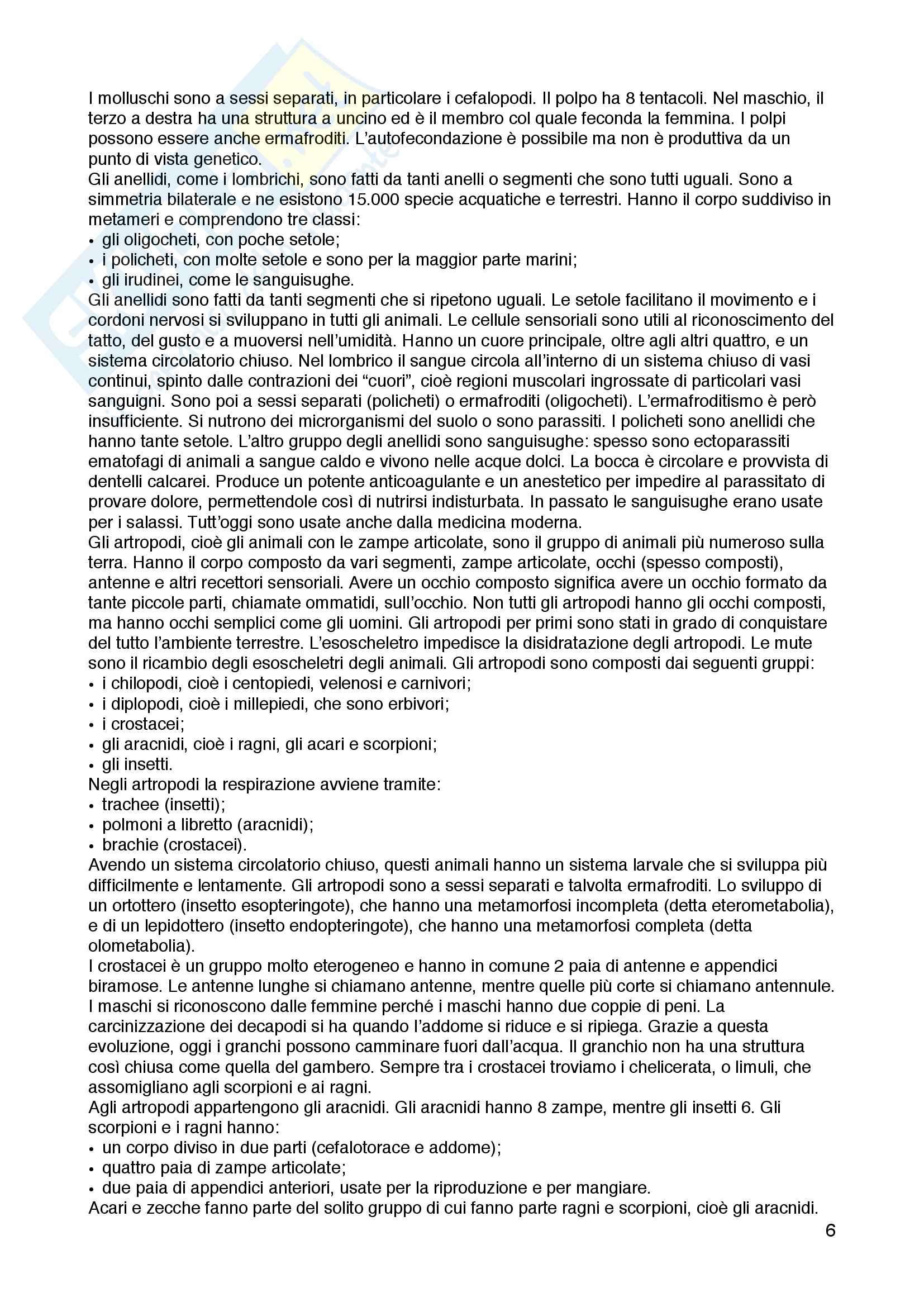 Appunti di biologia animale ed etologia, Elena Tricarico Pag. 6