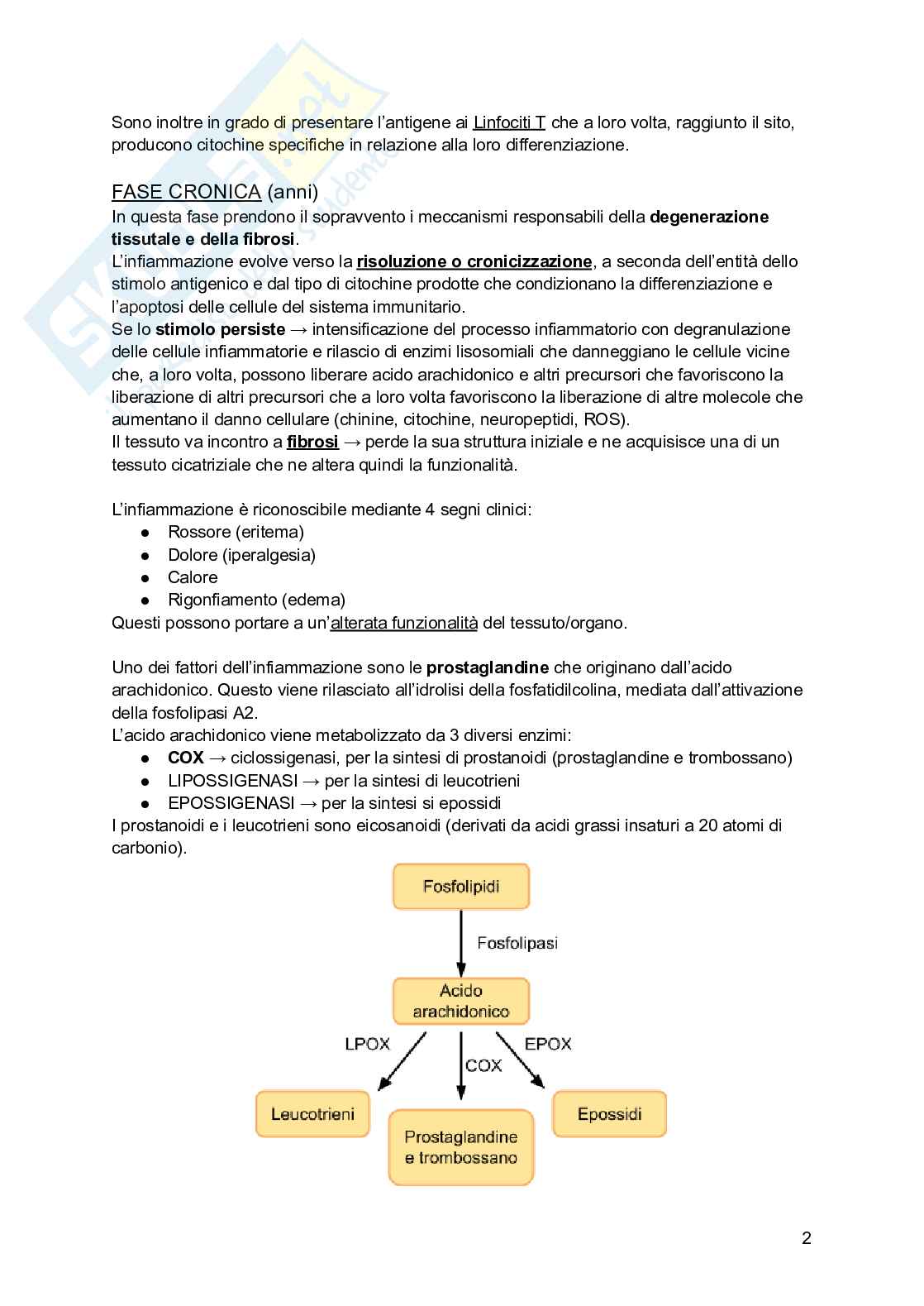 Farmaci antinfiammatori Pag. 2