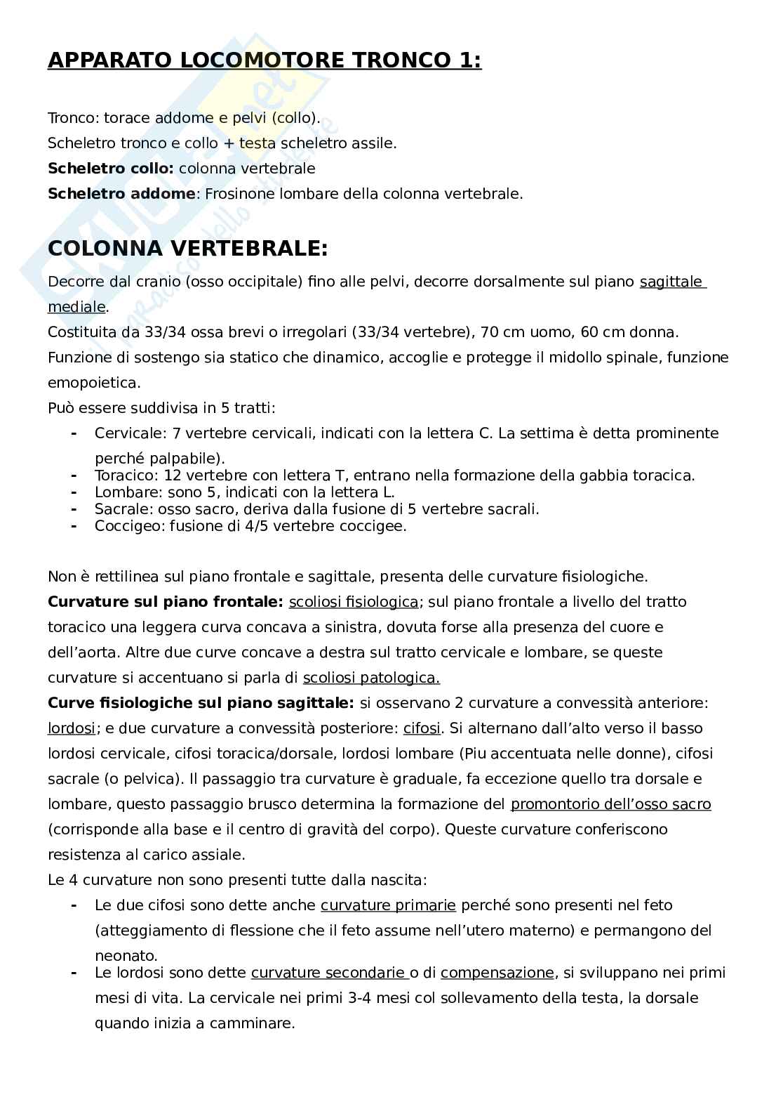 Apparato locomotore, tronco Pag. 1