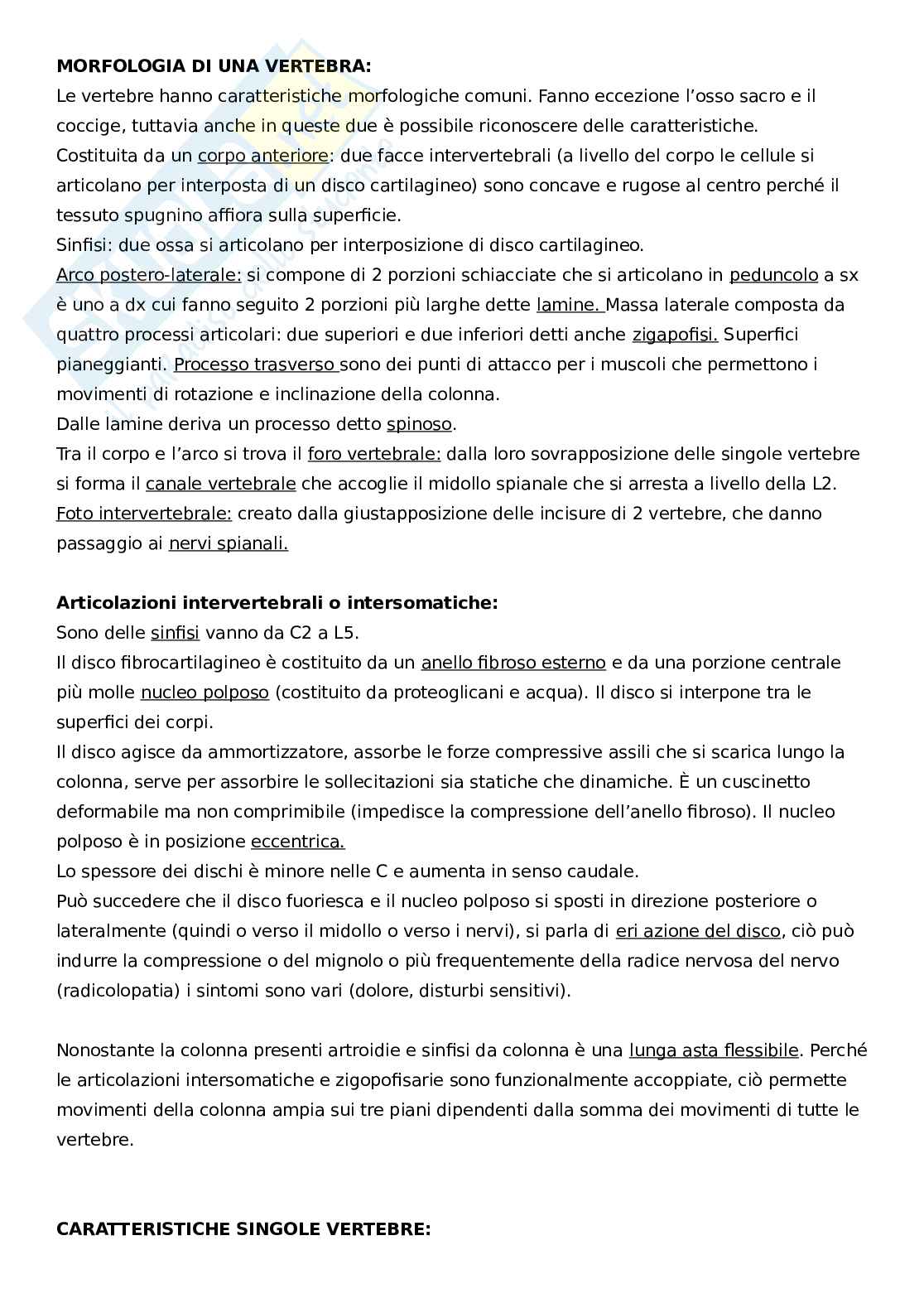 Apparato locomotore, tronco Pag. 2