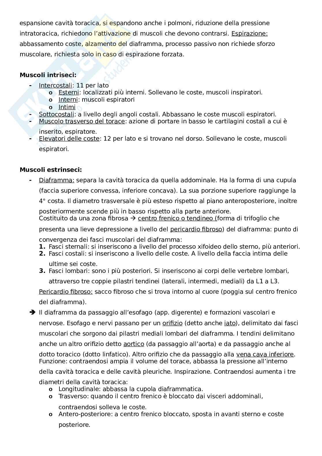 Apparato locomotore, tronco Pag. 6