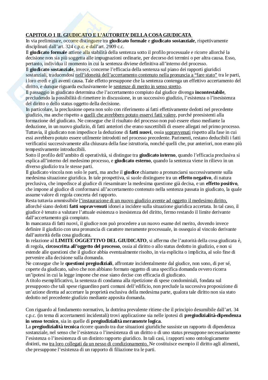 Rielaborazione del diritto processuale civile  Pag. 1