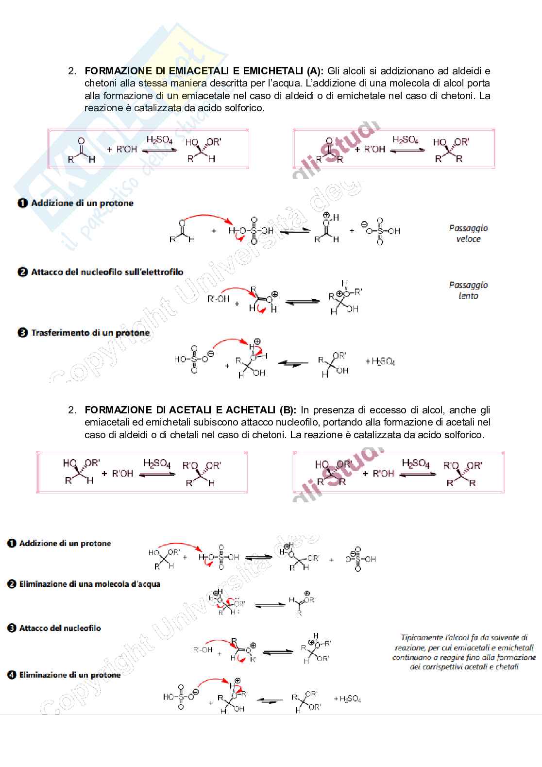 Appunti di Chimica organica Pag. 6