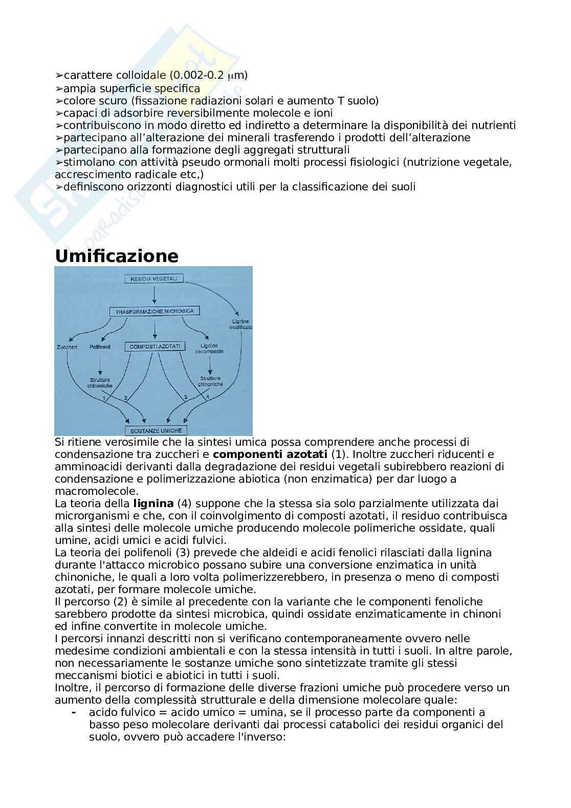 Chimica agraria Pag. 26