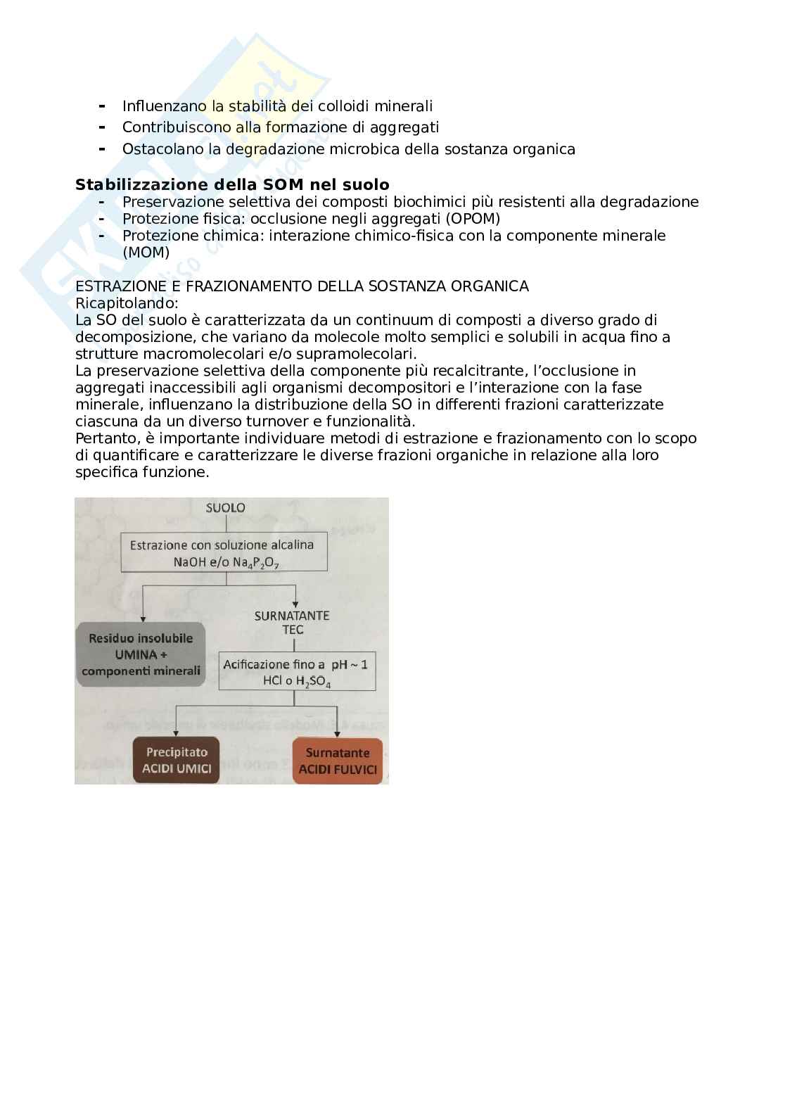 Chimica agraria Pag. 31
