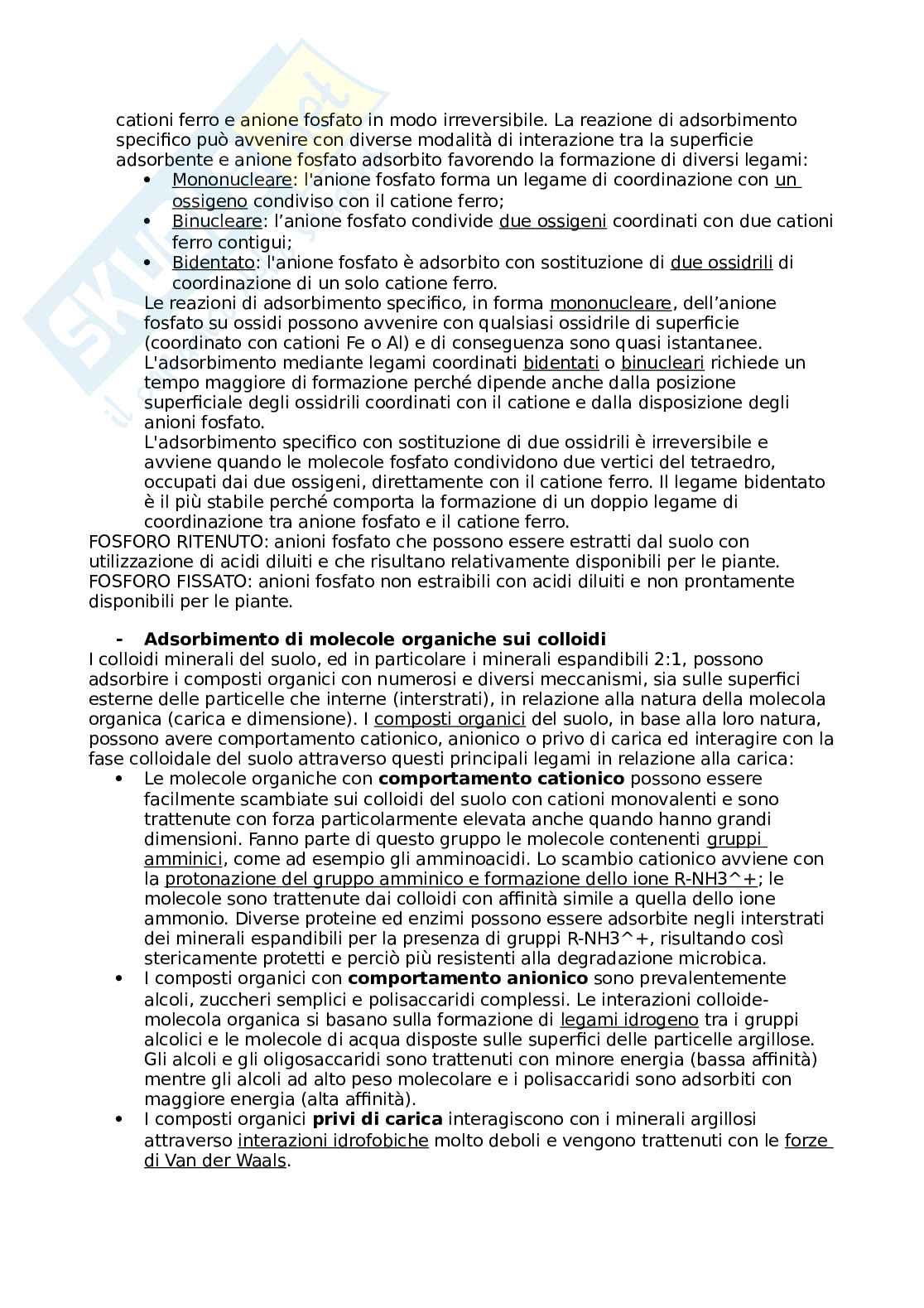 Chimica agraria Pag. 61