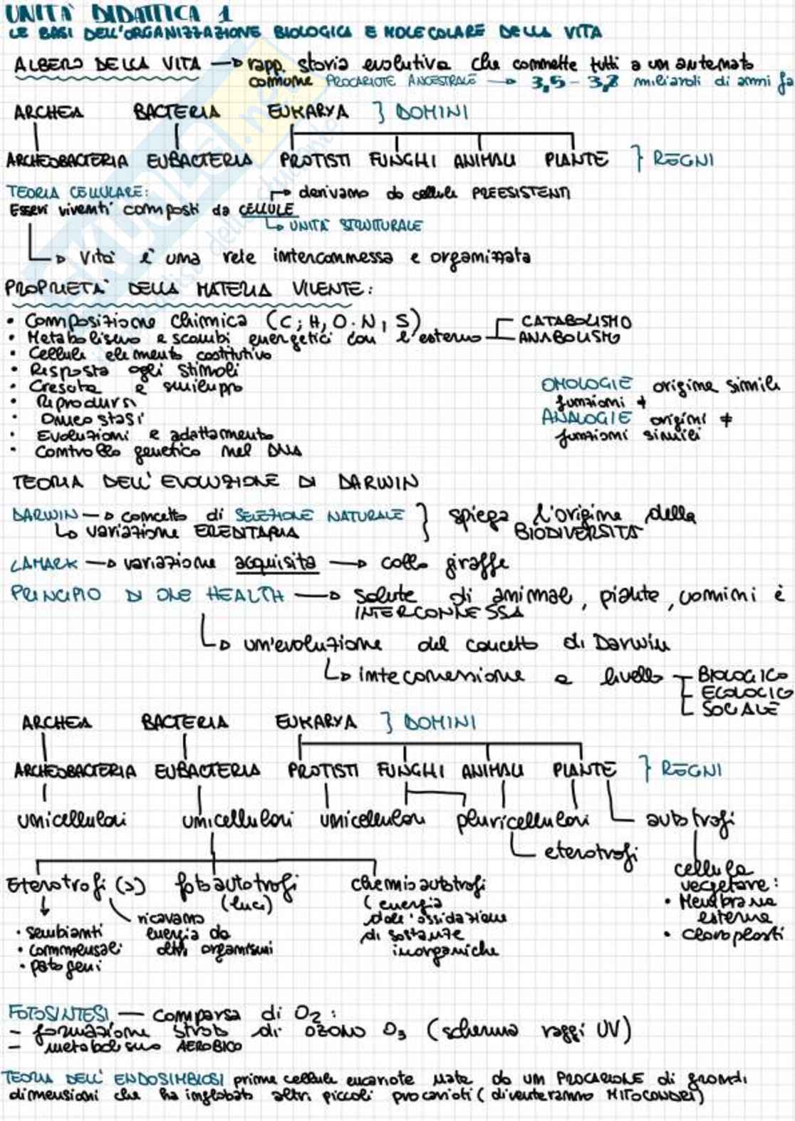 Appunti completi di Biologia e genetica - (Semestre Filtro) - 25/26 Pag. 1