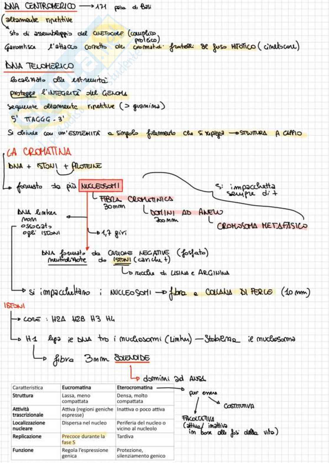 Appunti completi di Biologia e genetica - (Semestre Filtro) - 25/26 Pag. 11