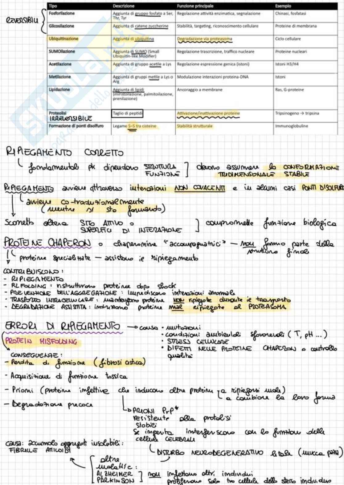 Appunti completi di Biologia e genetica - (Semestre Filtro) - 25/26 Pag. 31