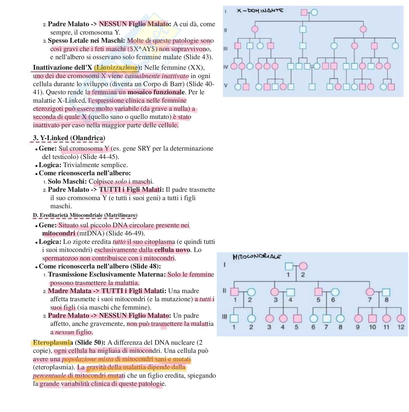 Appunti completi di Biologia e genetica - (Semestre Filtro) - 25/26 Pag. 51