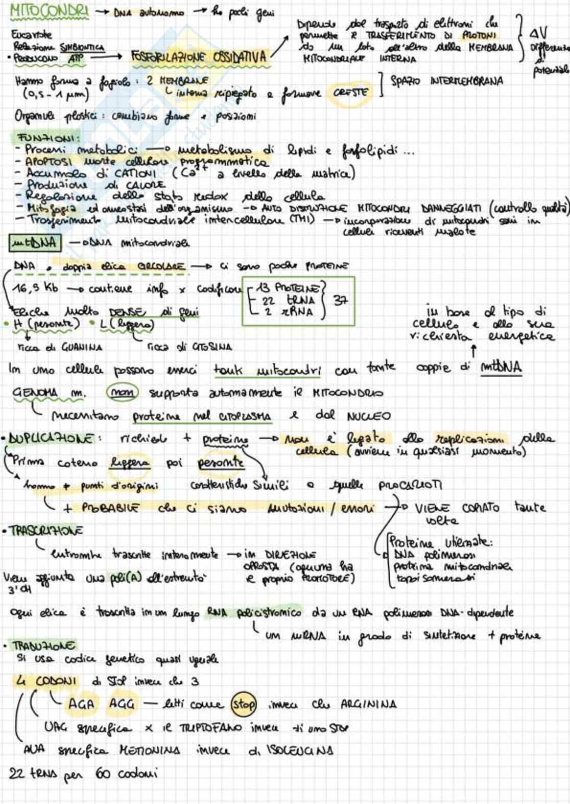 Appunti completi di Biologia e genetica - (Semestre Filtro) - 25/26 Pag. 61