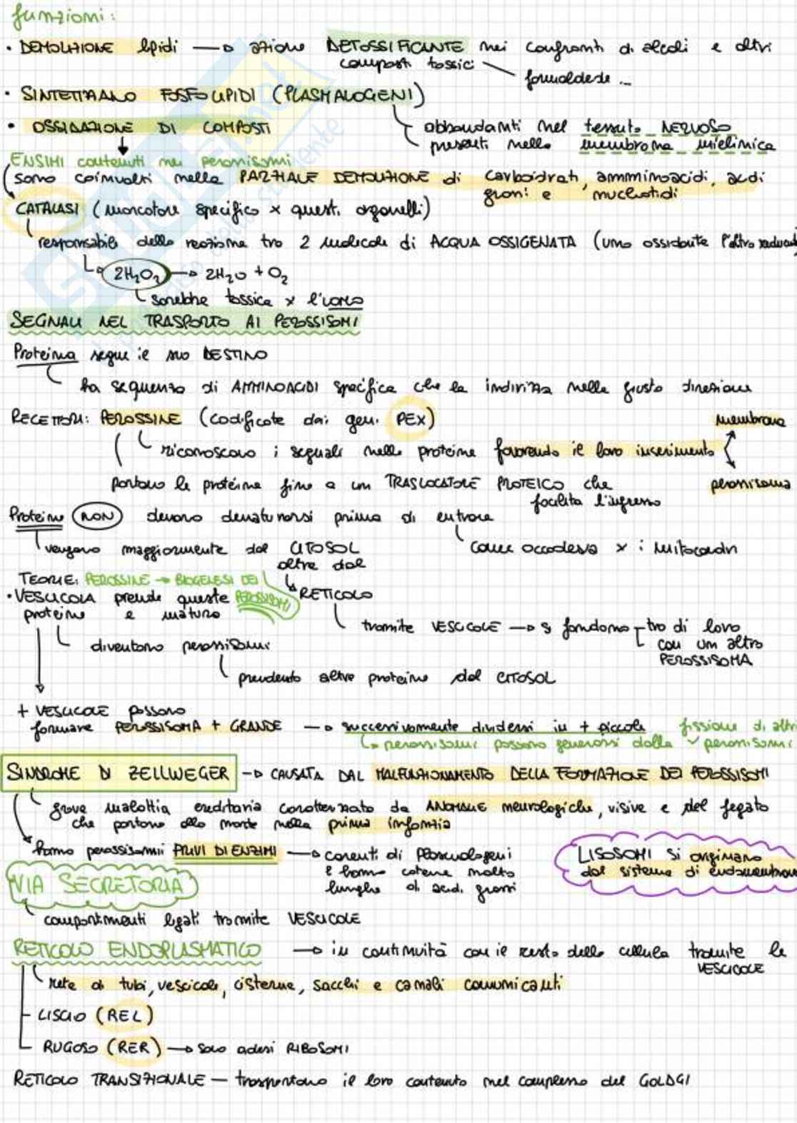 Appunti completi di Biologia e genetica - (Semestre Filtro) - 25/26 Pag. 66