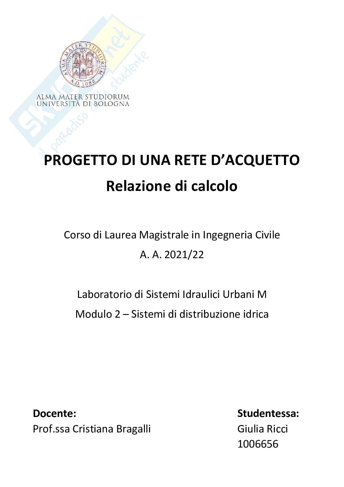 Progetto di una rete di acquedotto Pag. 1