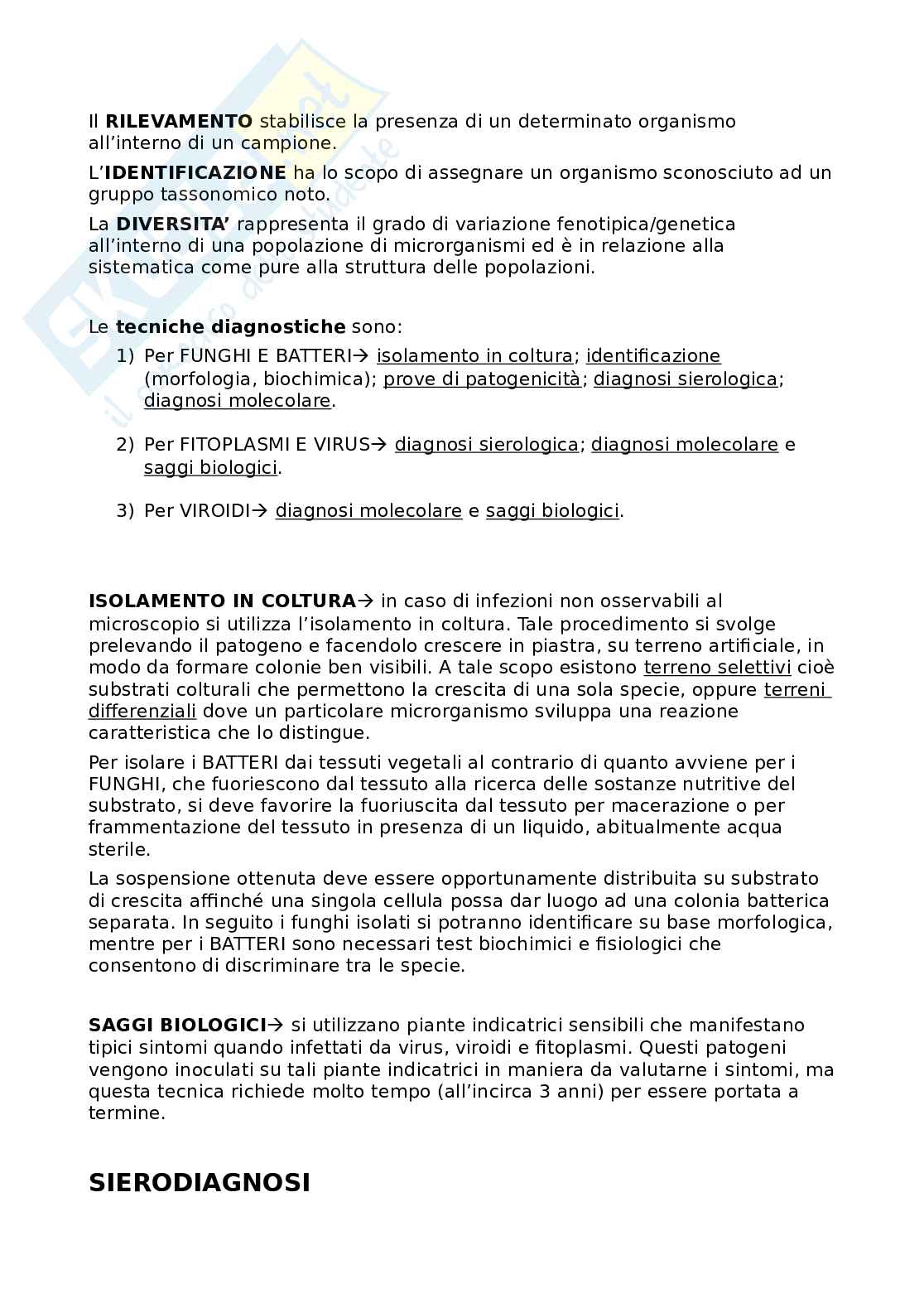 Riassunti diagnostica fitopatologica Pag. 21