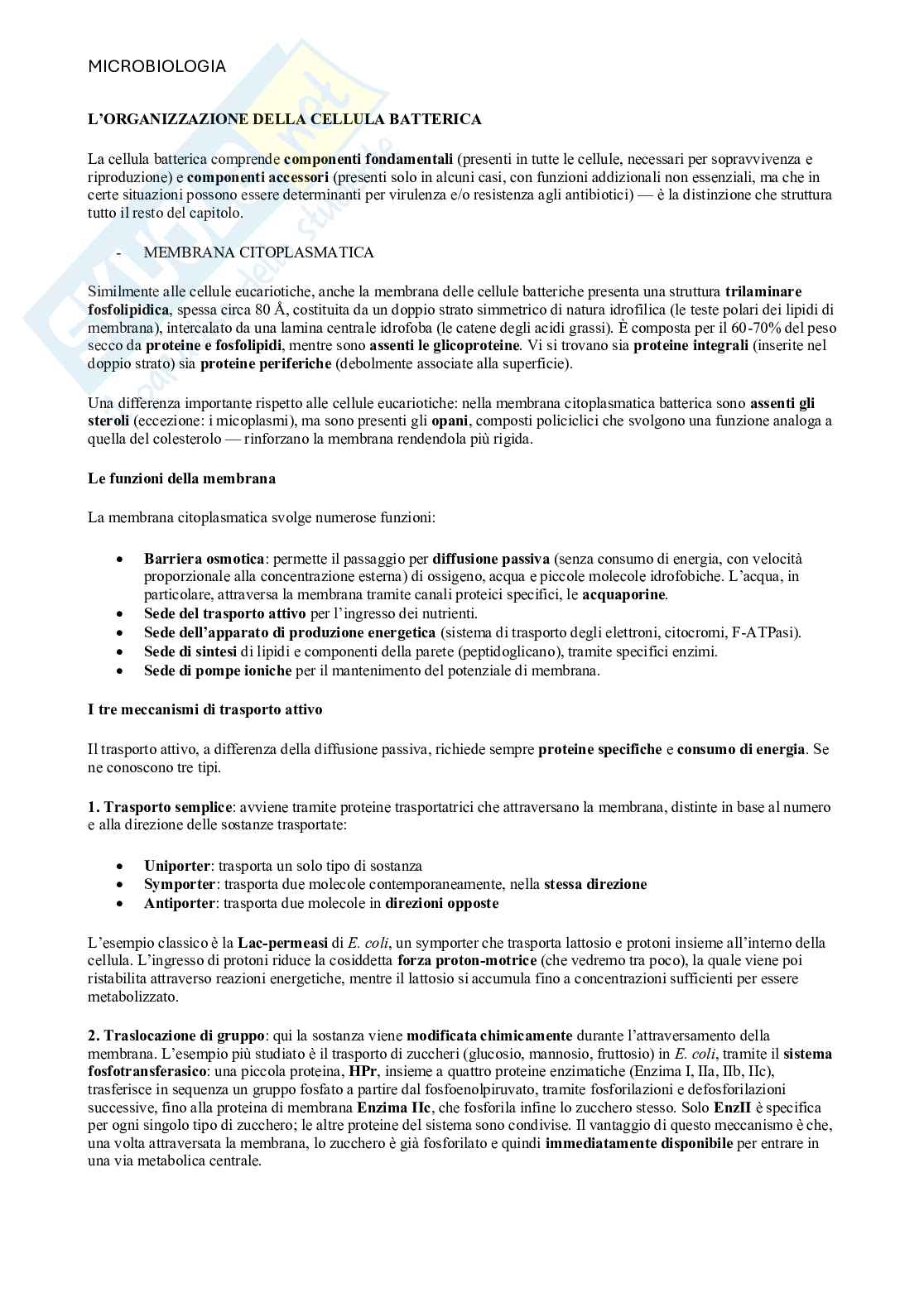 Microbiologia  Pag. 11