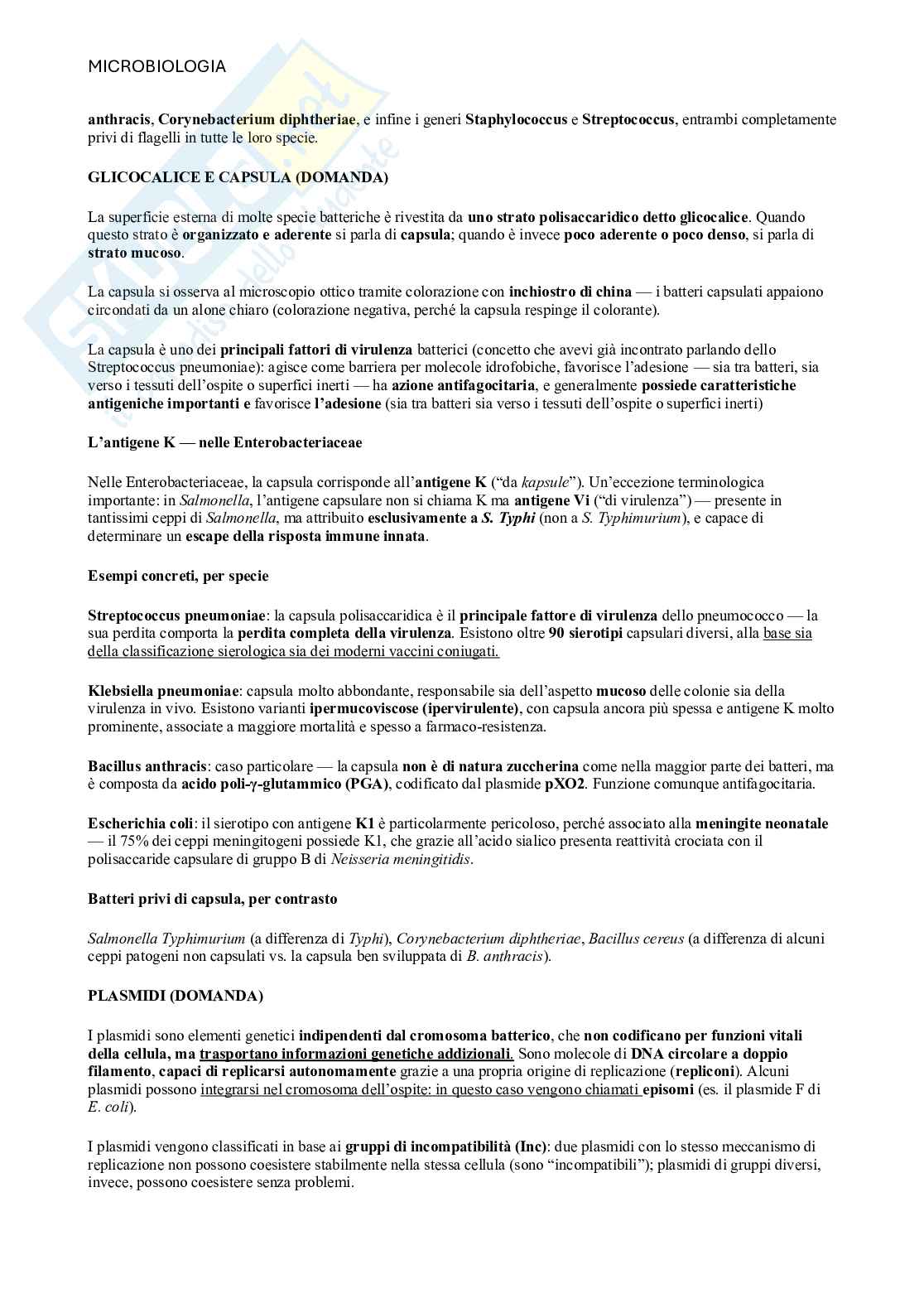 Microbiologia  Pag. 16