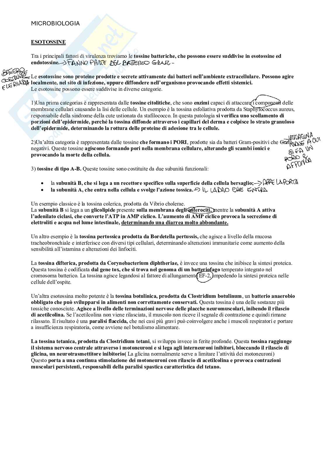 Microbiologia  Pag. 36